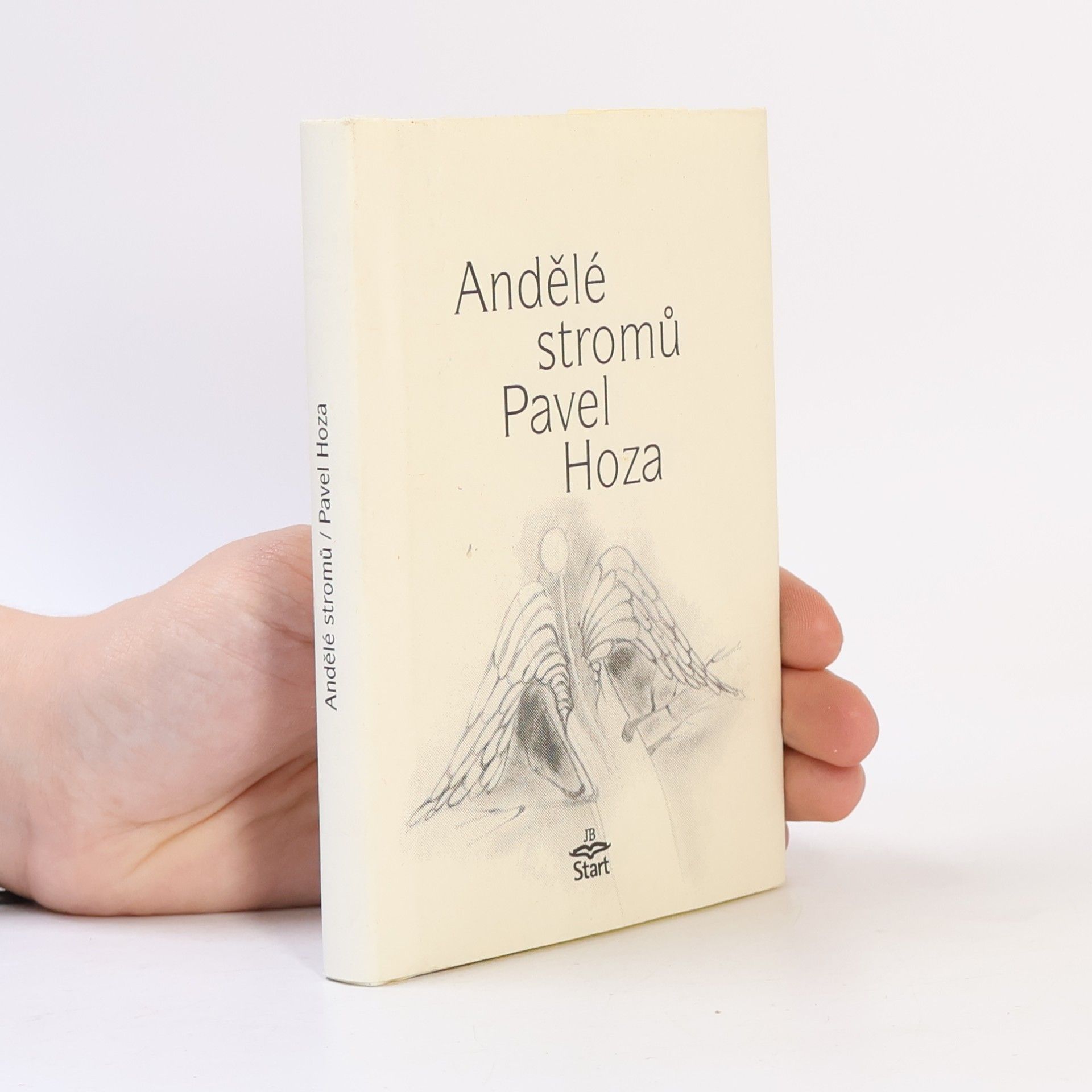 Pavel Hoza Andělé stromů