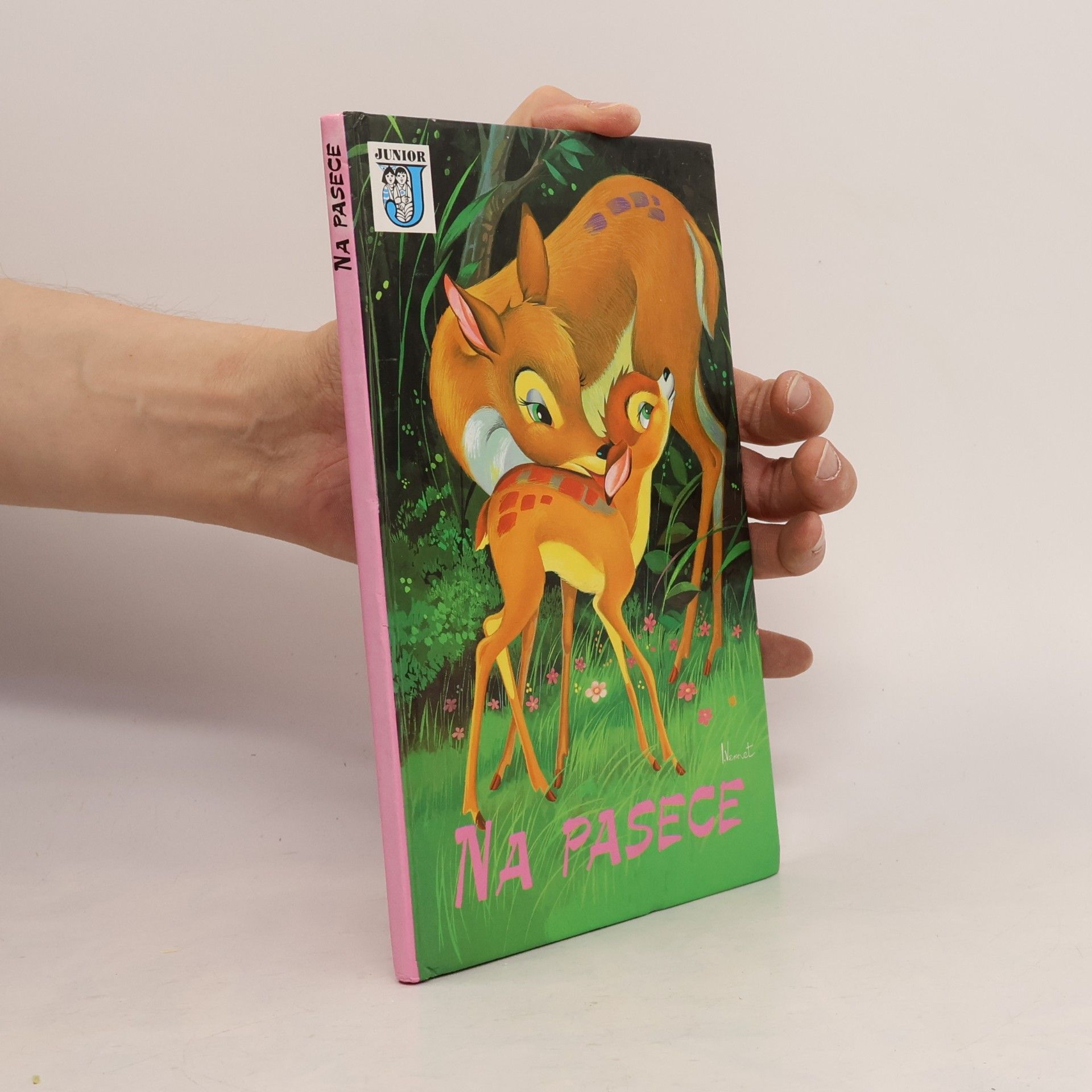 Collectif d'auteurs Na pasece
