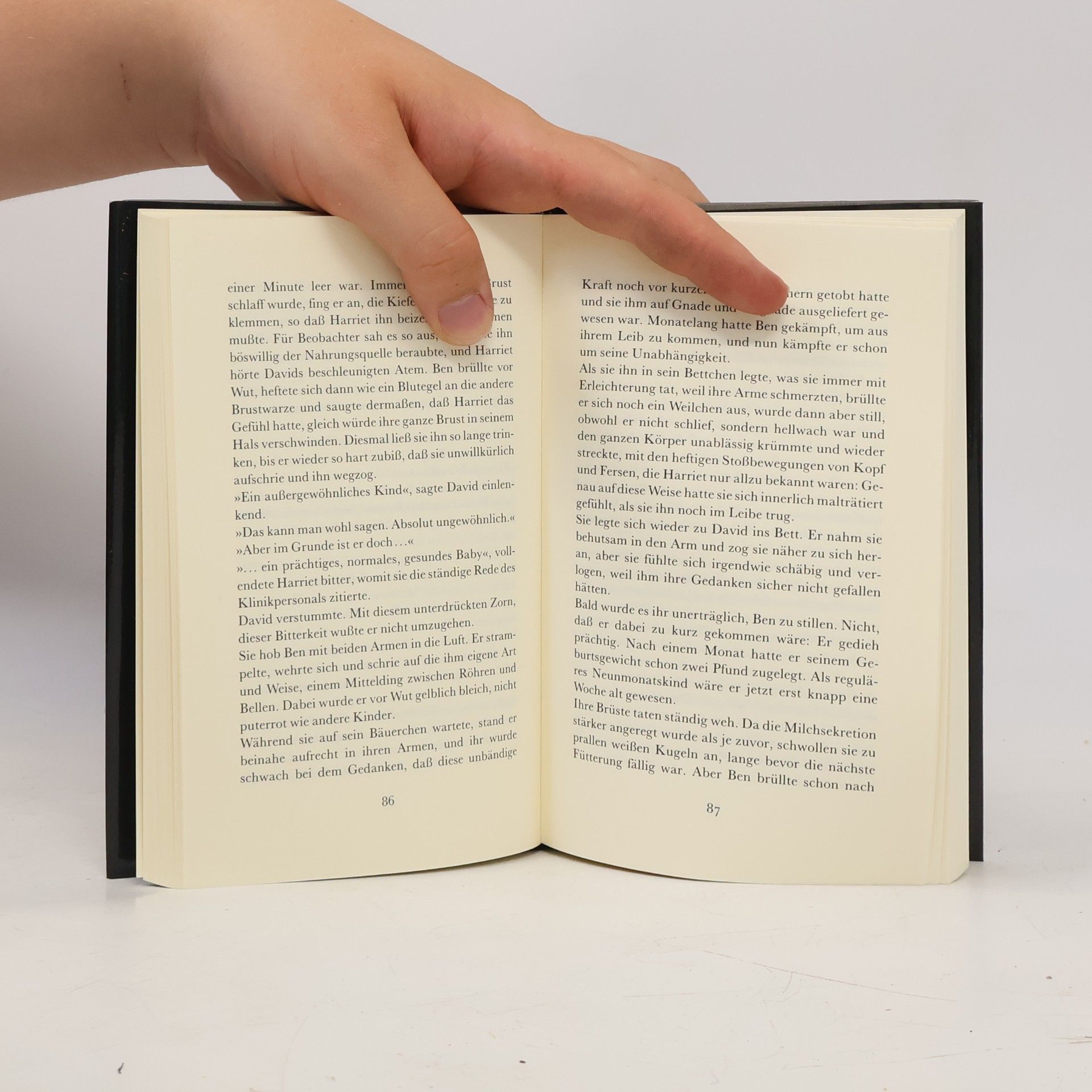 Doris Lessing Das fünfte Kind