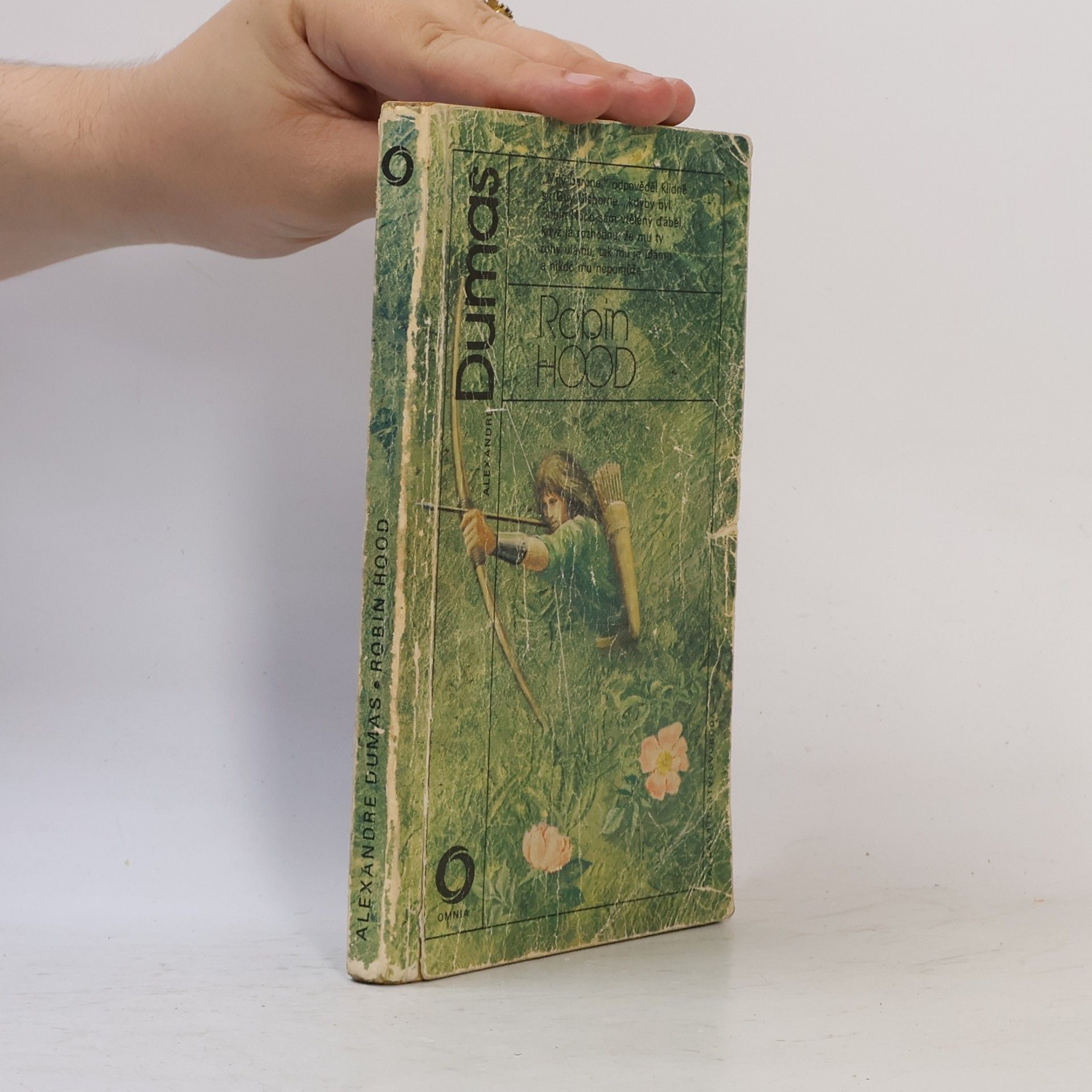 Alexandre Dumas der Ältere Robin Hood