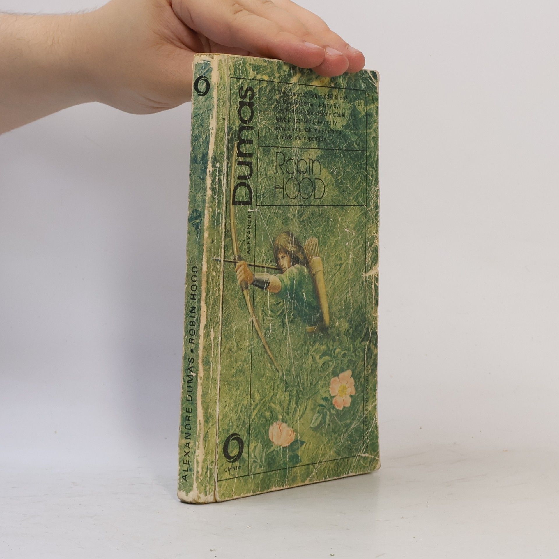 Alexandre Dumas der Ältere Robin Hood
