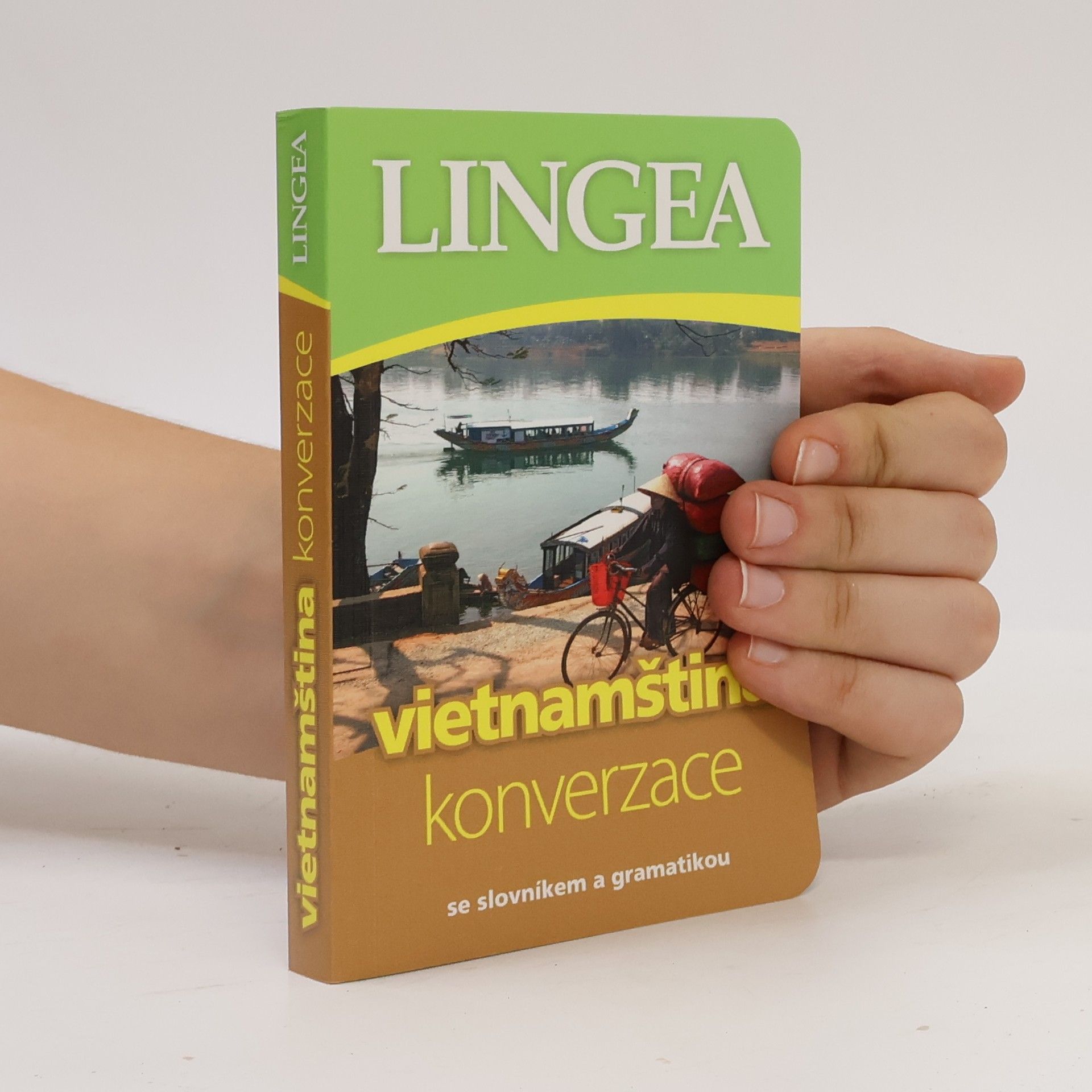Auteurscollectief Vietnamština. Konverzace