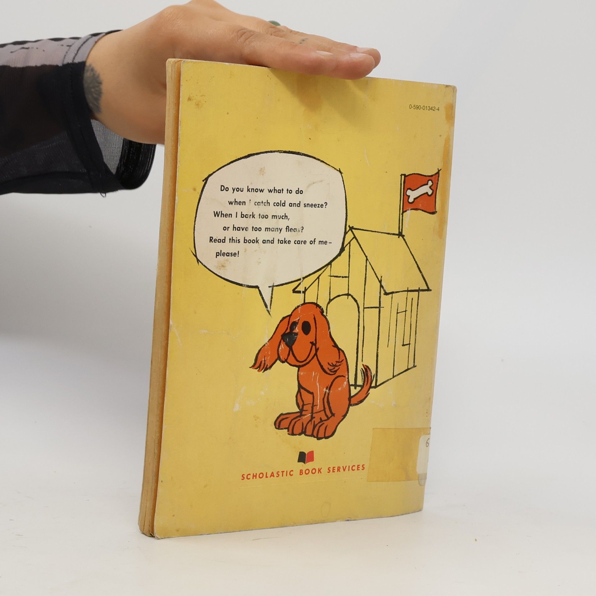 Jean Bethell How to Care for Your Dog