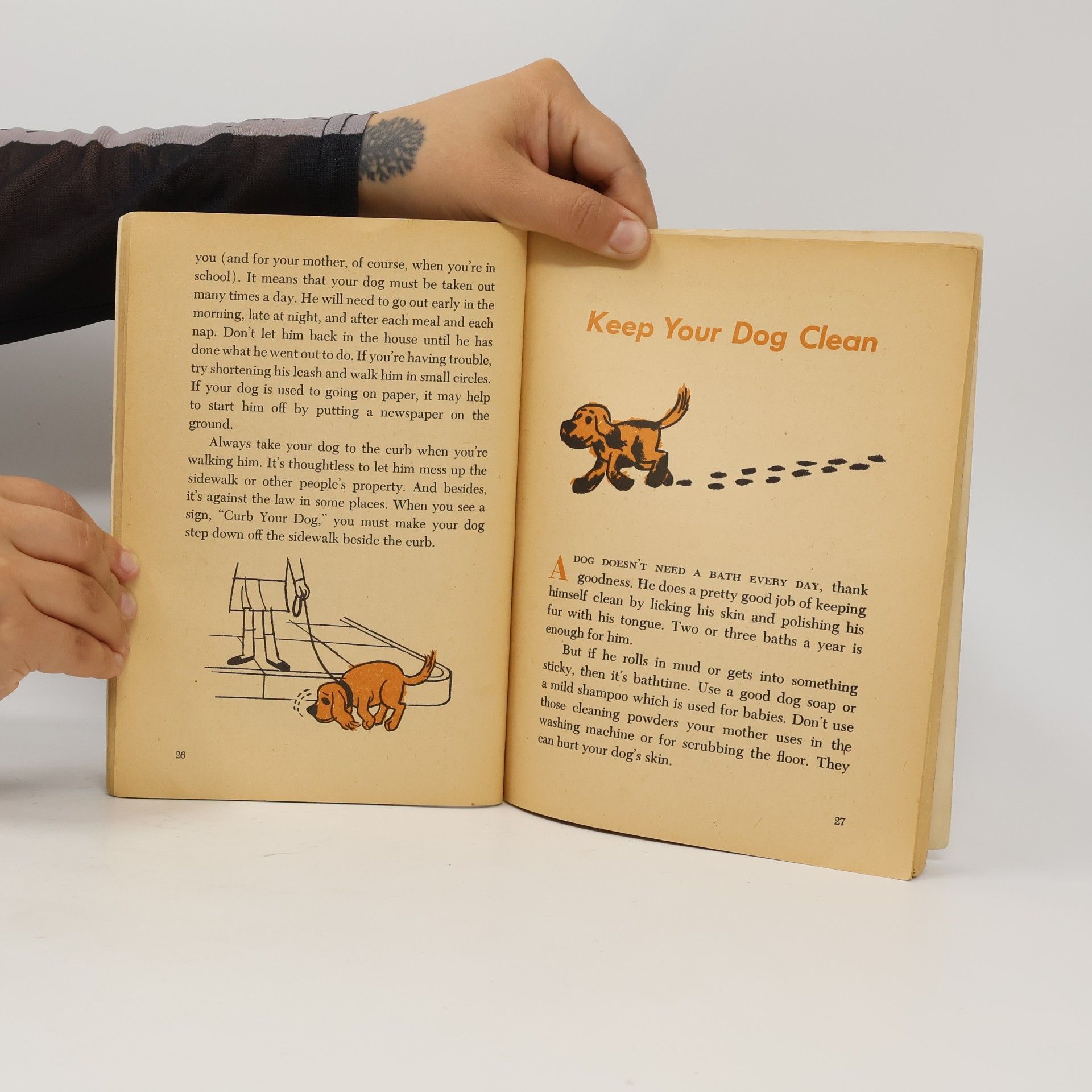 Jean Bethell How to Care for Your Dog
