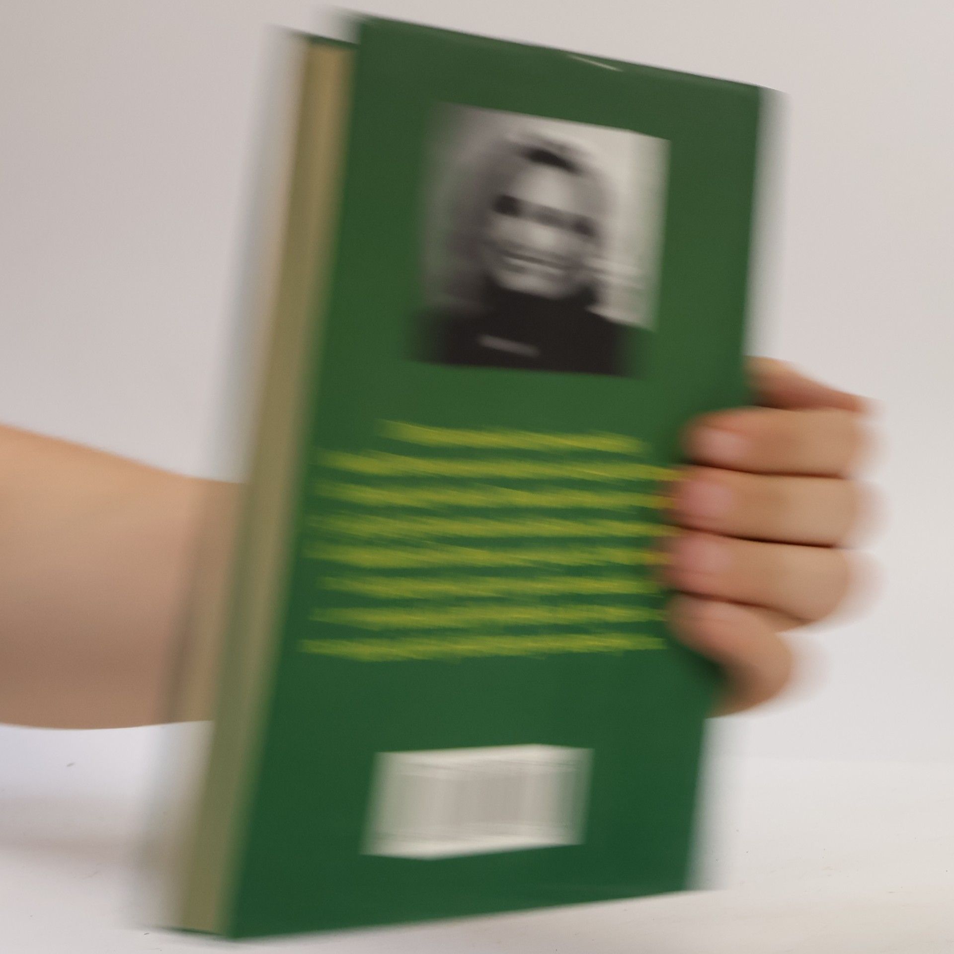 Jude Deveraux Horský vavřín