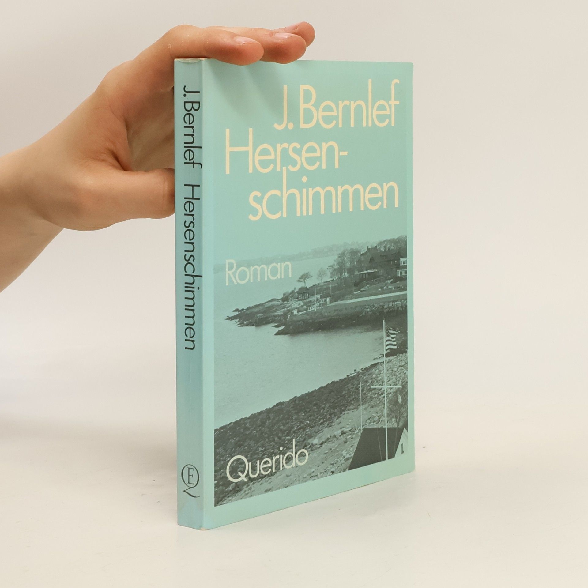 J. Bernlef Hersenschimmen