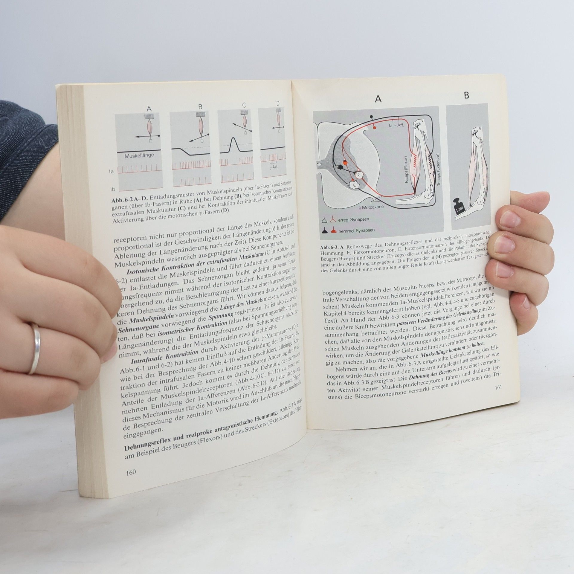 R. F. Schmidt Grundriss der Neurophysiologie