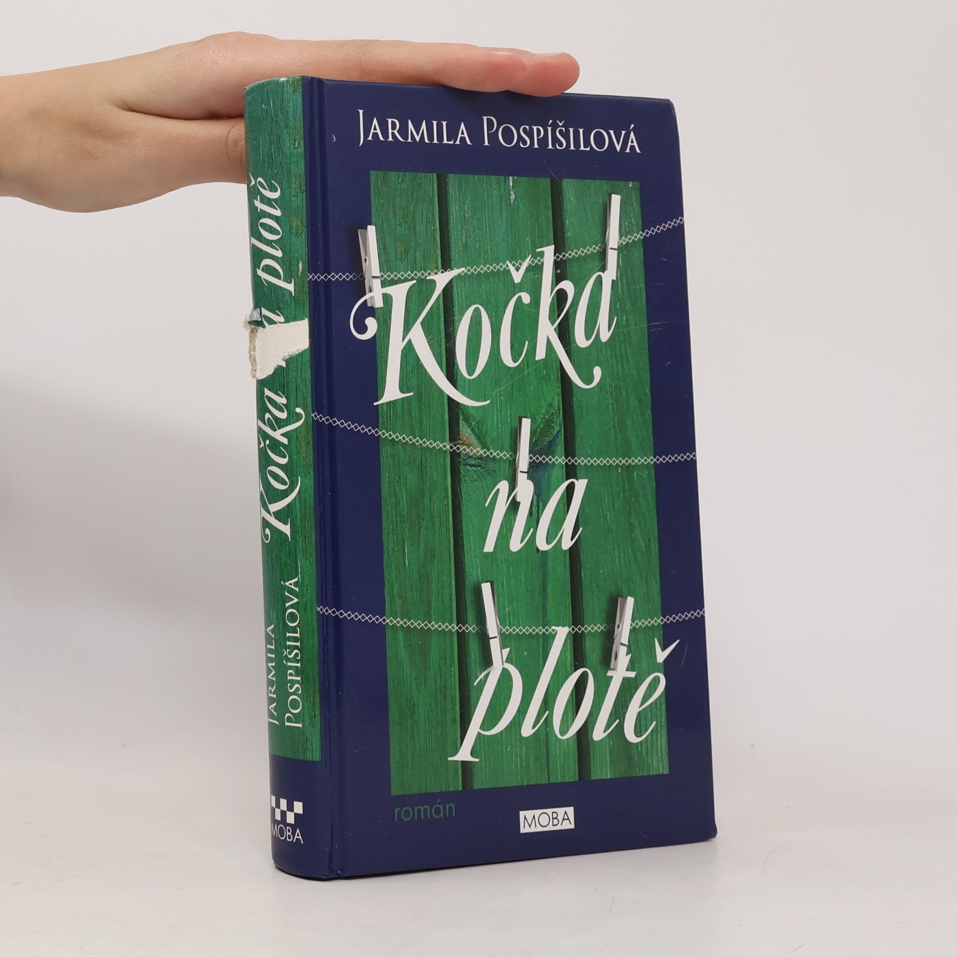 Jarmila Pospíšilová Kočka na plotě