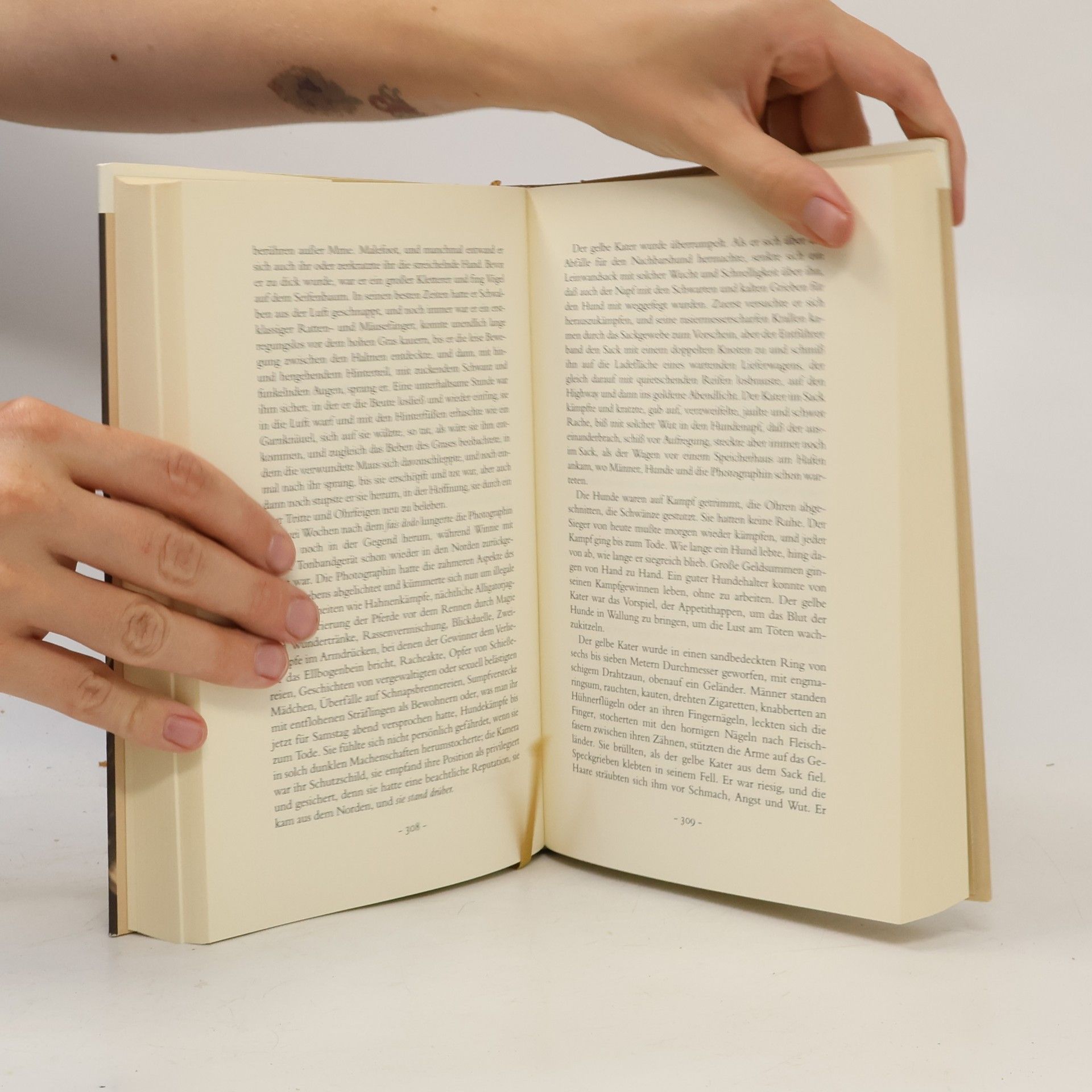 Annie Proulx Das grüne Akkordeon