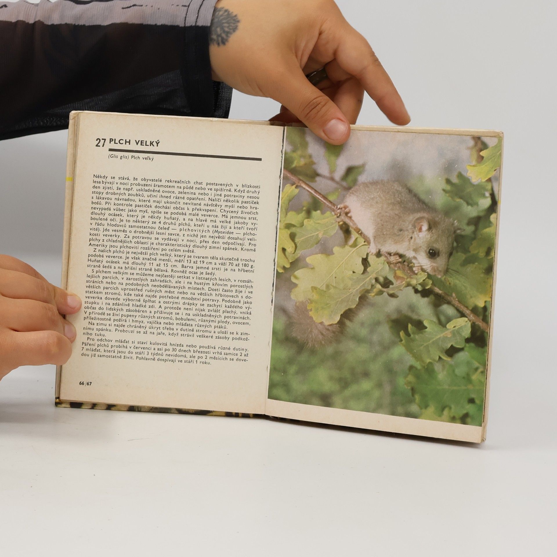 Miroslav Bouchner Kapesní atlas savců