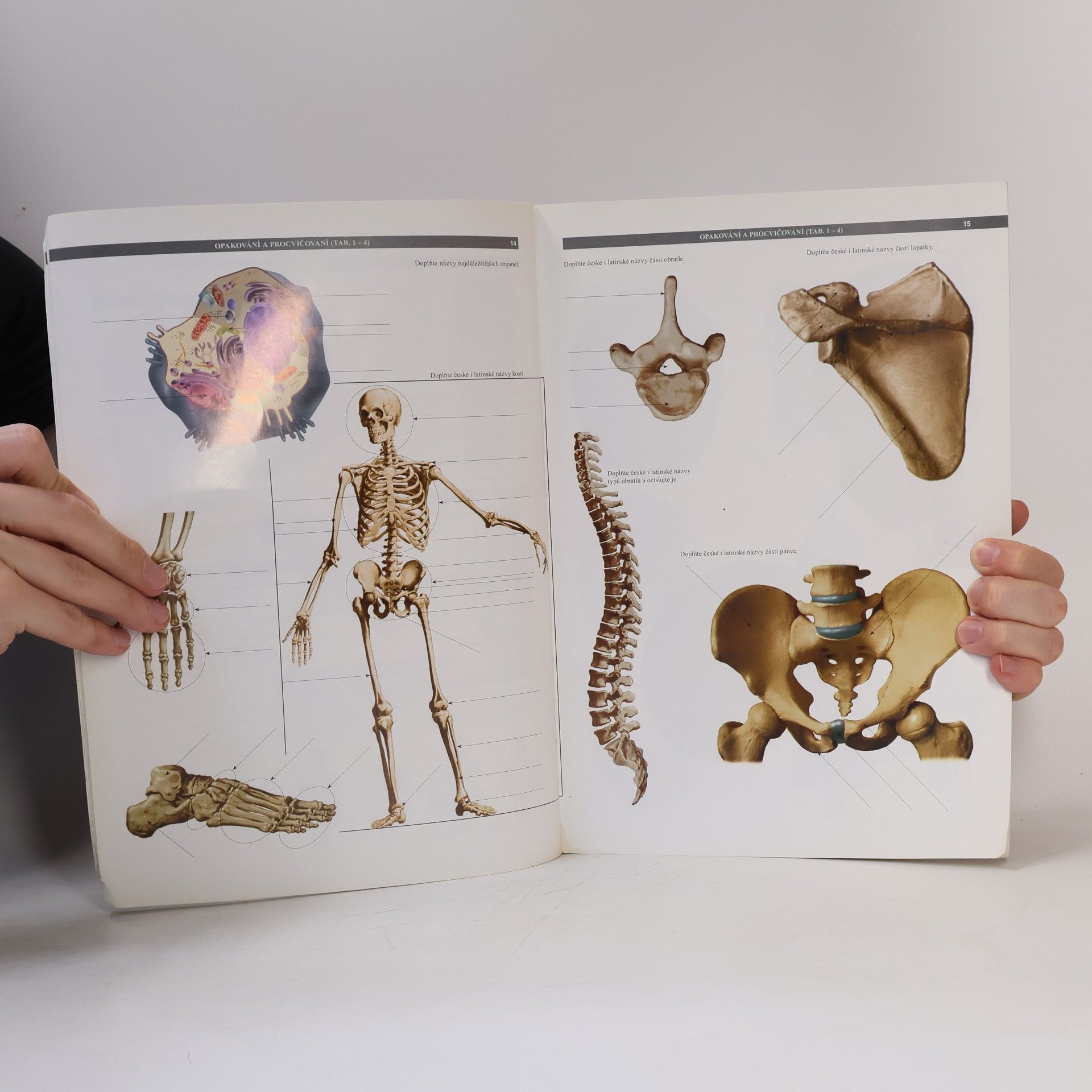 Stanislav Trojan Atlas biologie člověka