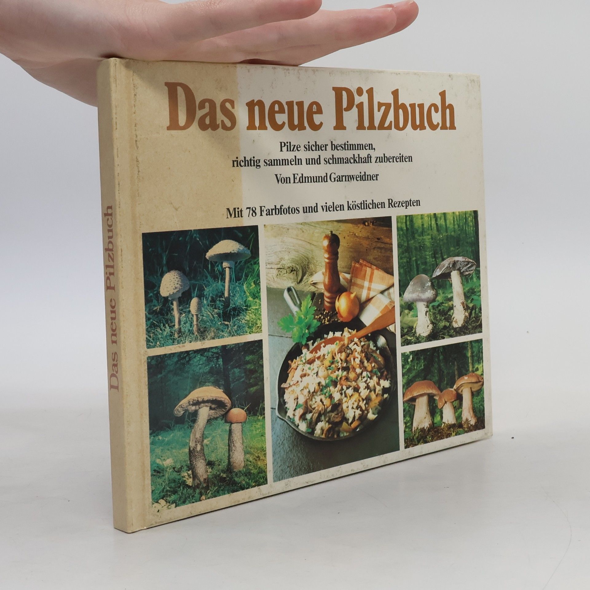 Autorenkollektiv Das neue Pilzbuch