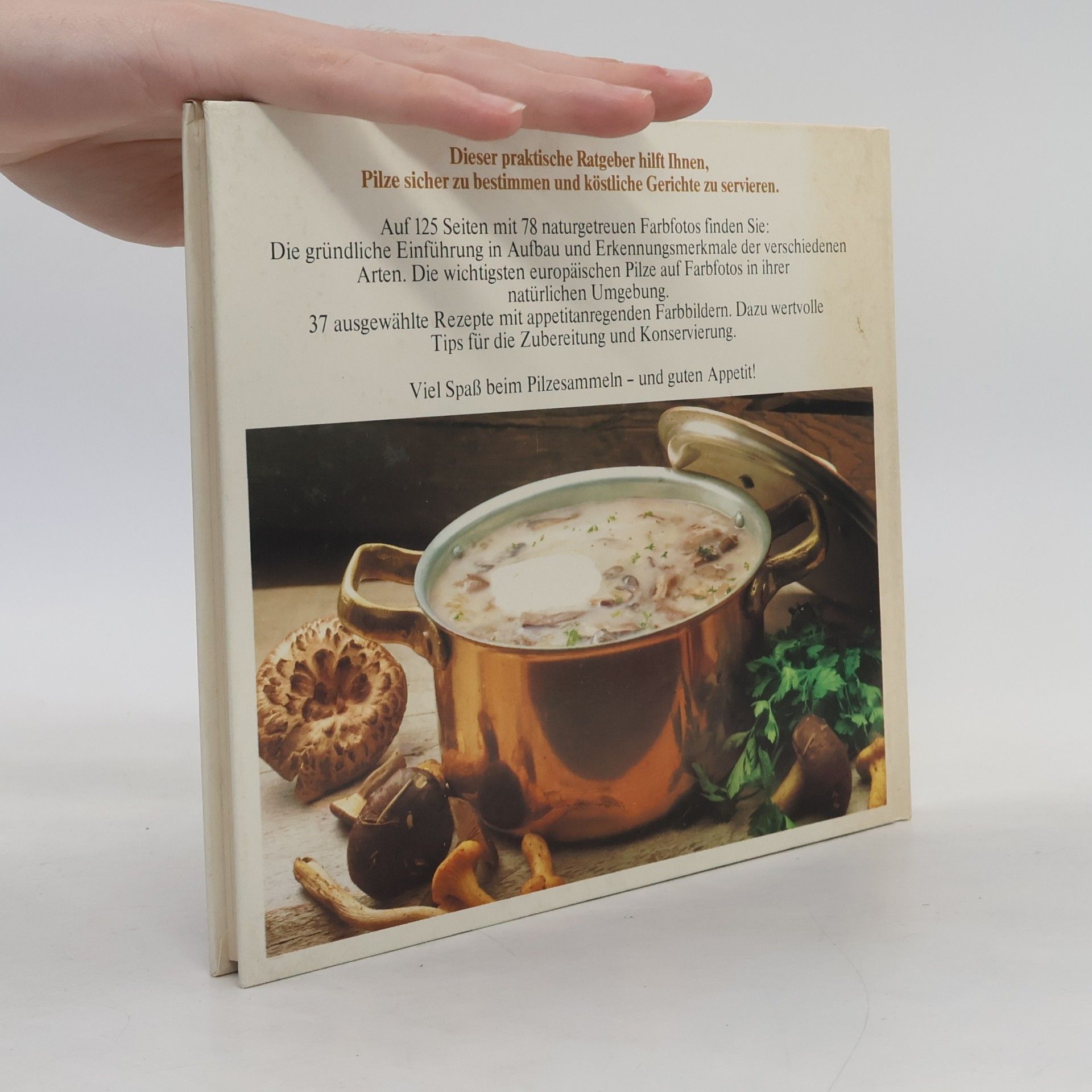 Autorenkollektiv Das neue Pilzbuch