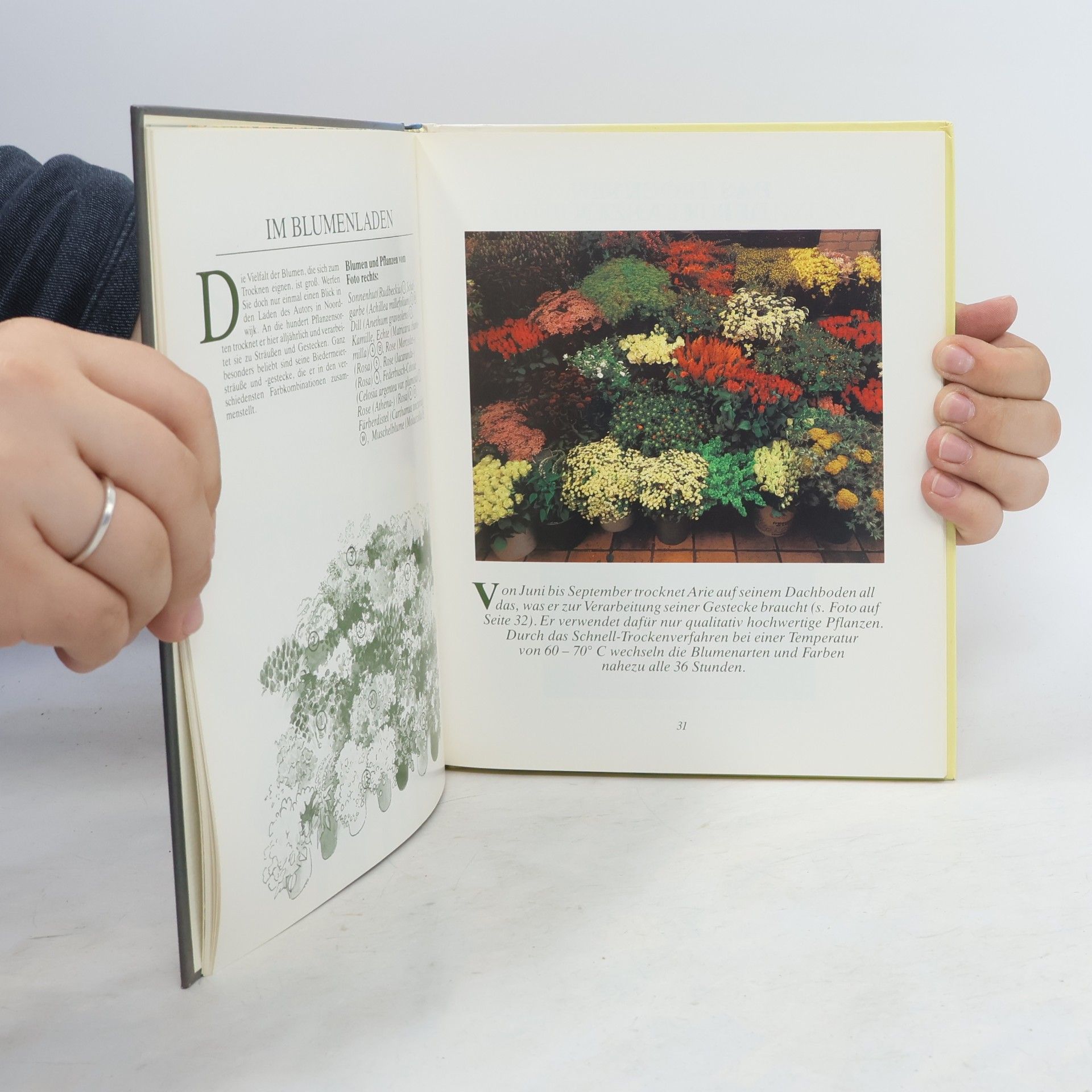 Arie van der Lippe Zauberhaftes aus Trockenblumen