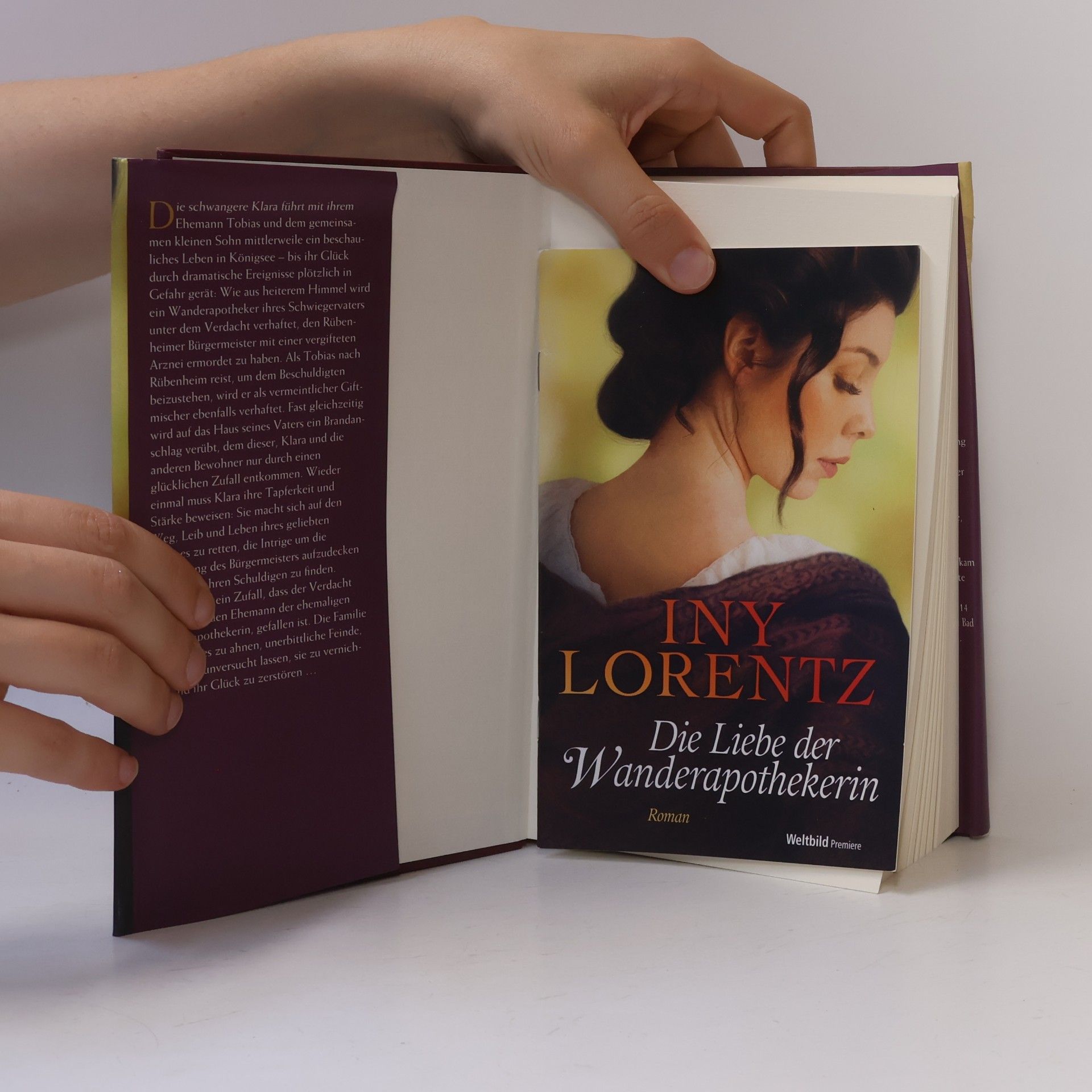Iny Lorentz Die Liebe der Wanderapothekerin