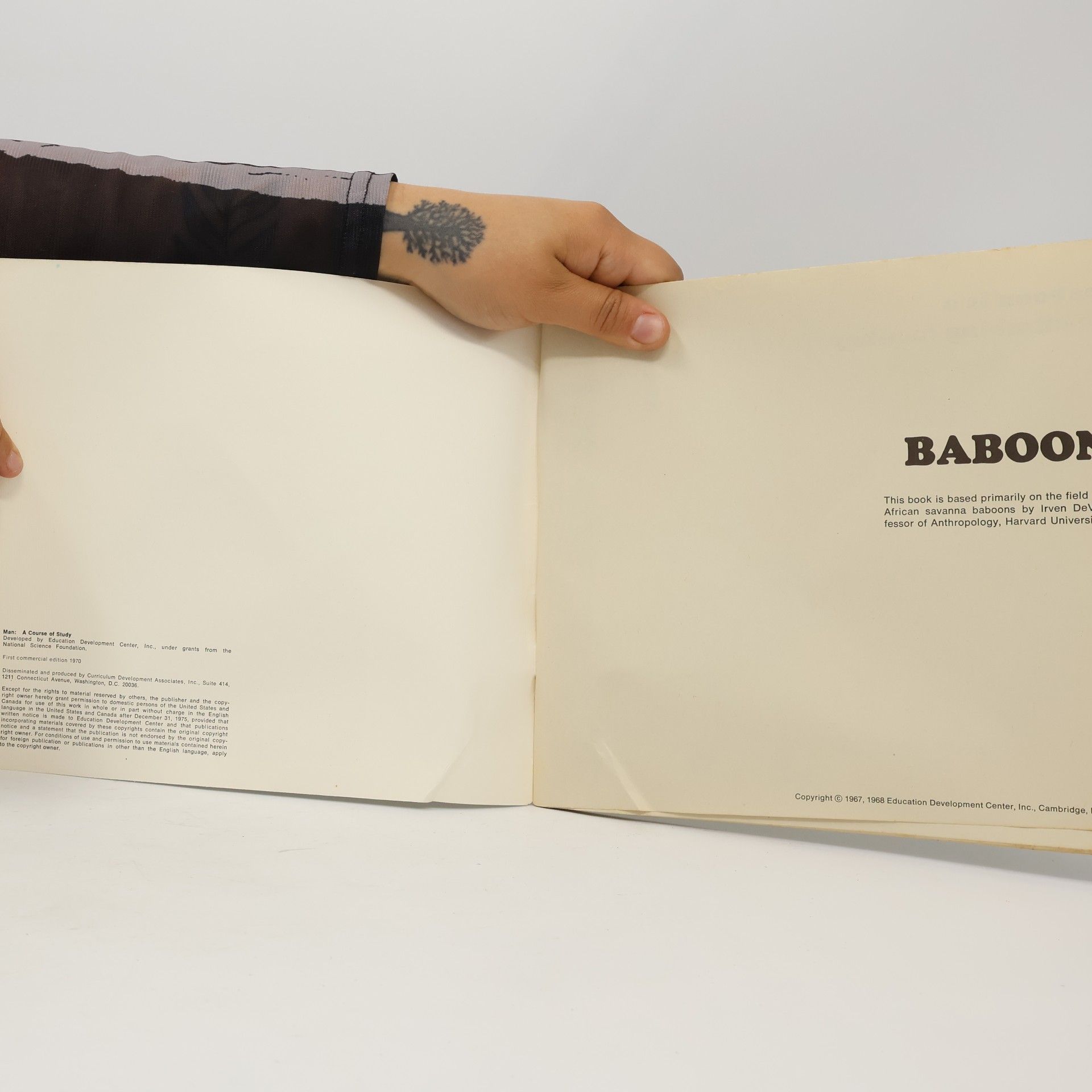 Autorenkollektiv Baboons