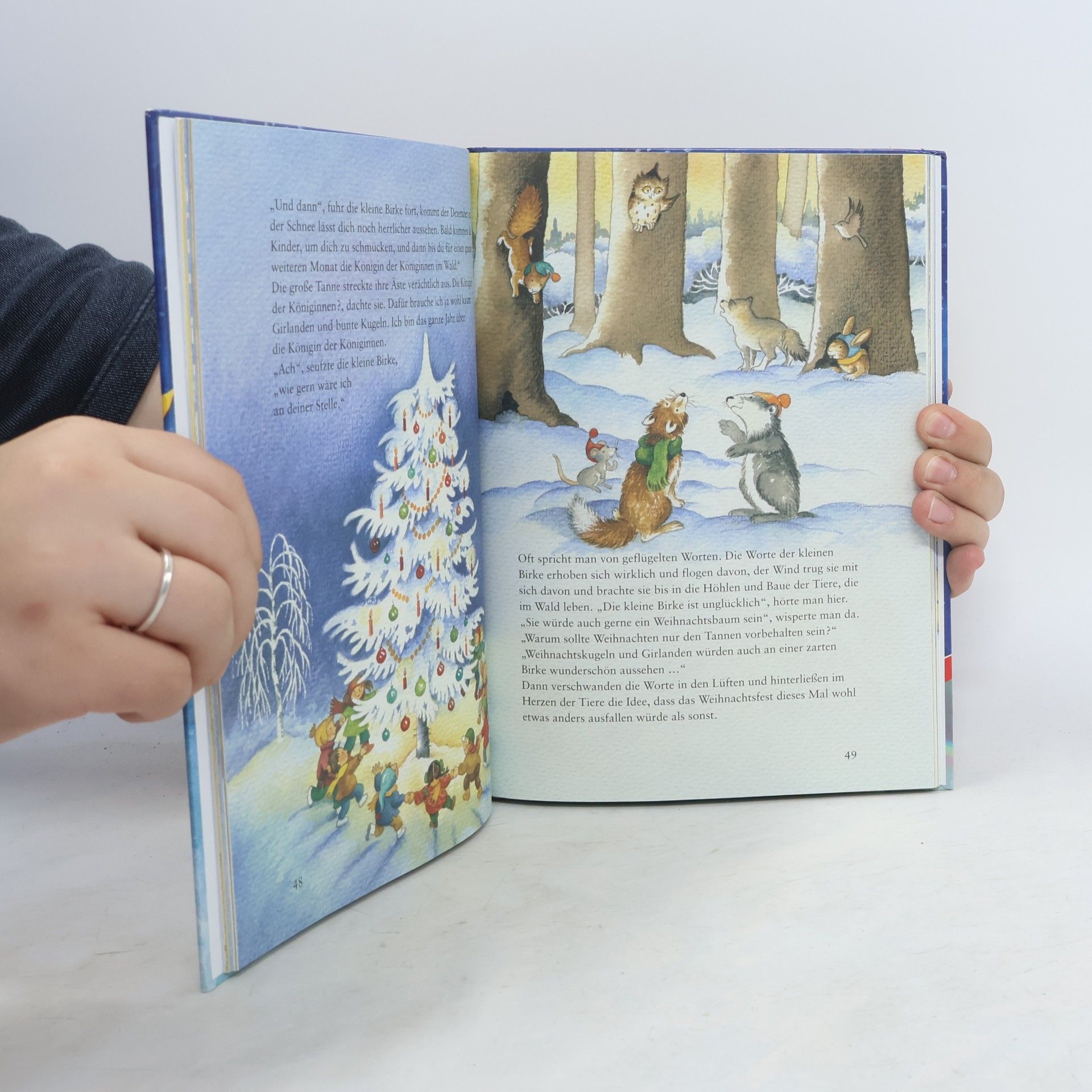 Anne-Marie Frisque Mein liebstes Weihnachtsbuch