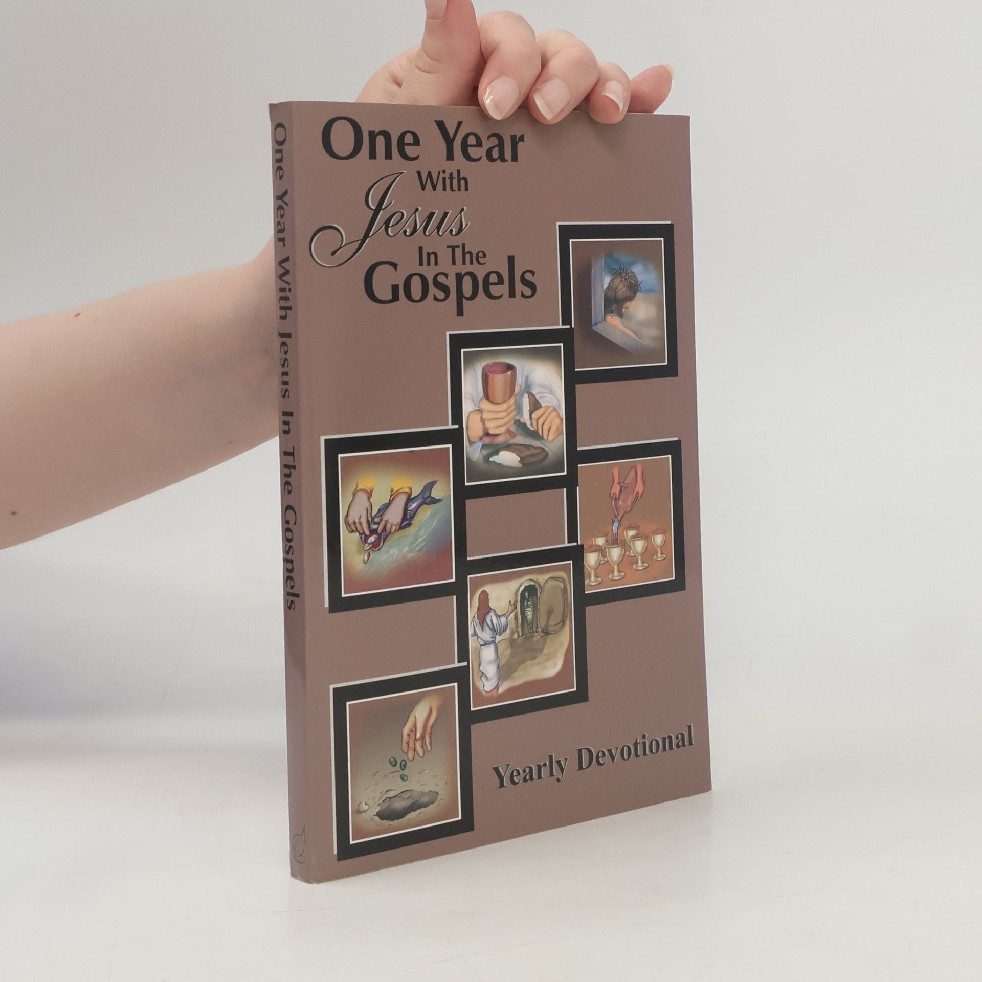 Andrew Wommack One Year With Jesus In The Gospels