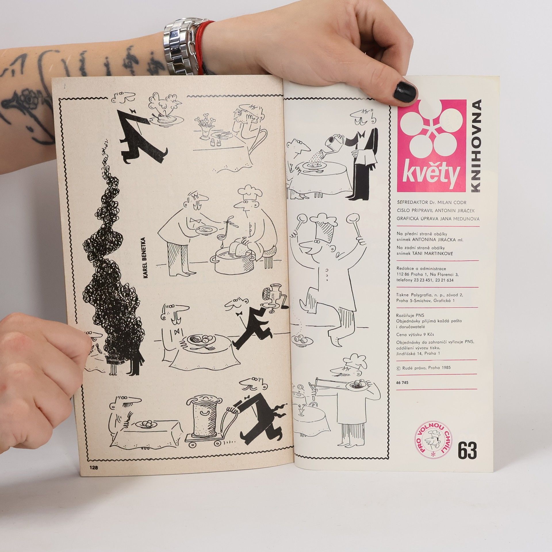 Kolektiv autorů Květy 63