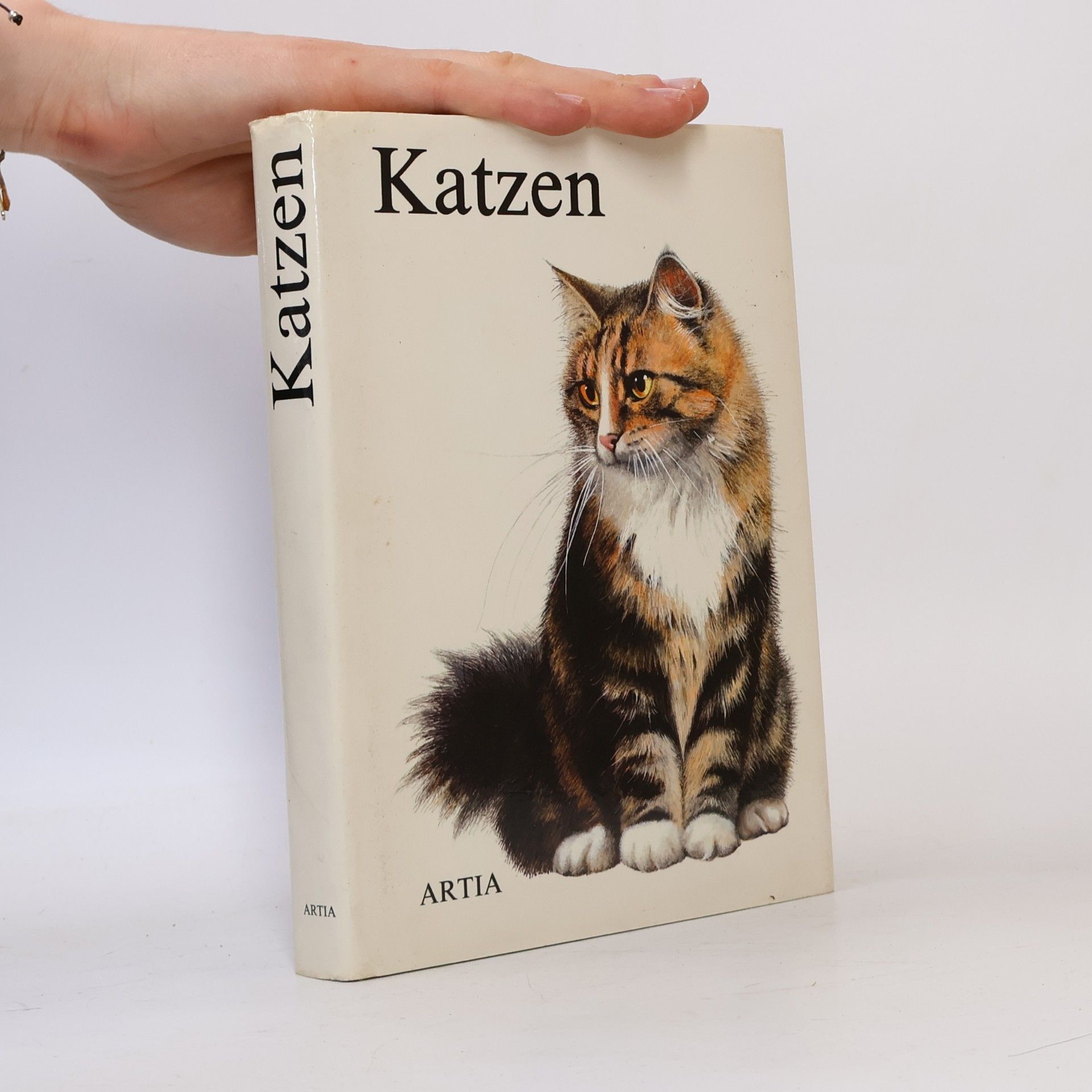 Albert Pintera Katzen