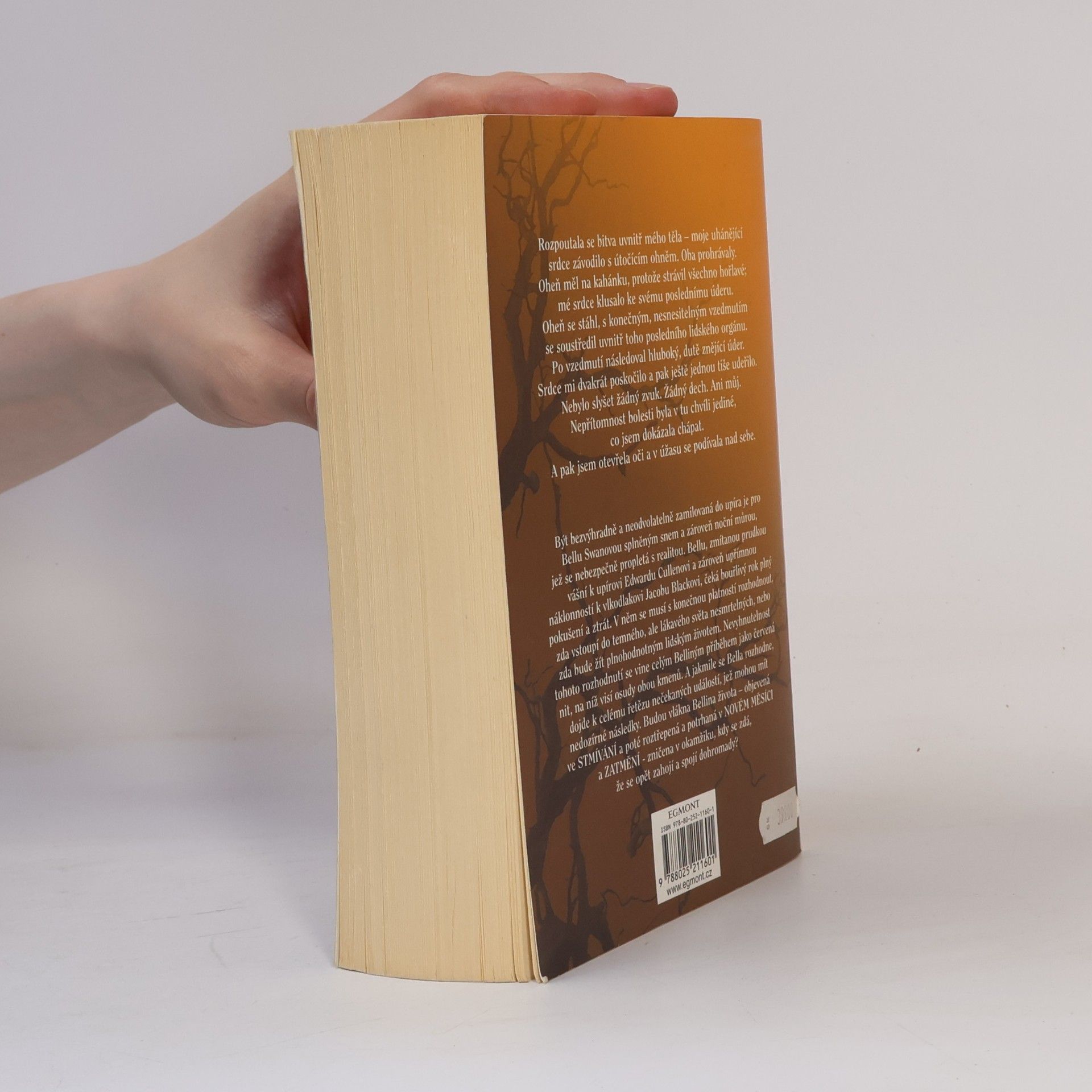 Stephenie Meyer Rozbřesk