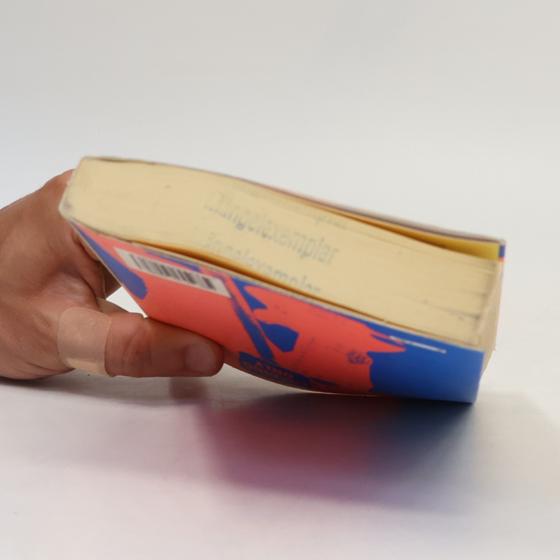 Enrico Brizzi Piccola biblioteca Oscar - 275: L'altro nome del rock