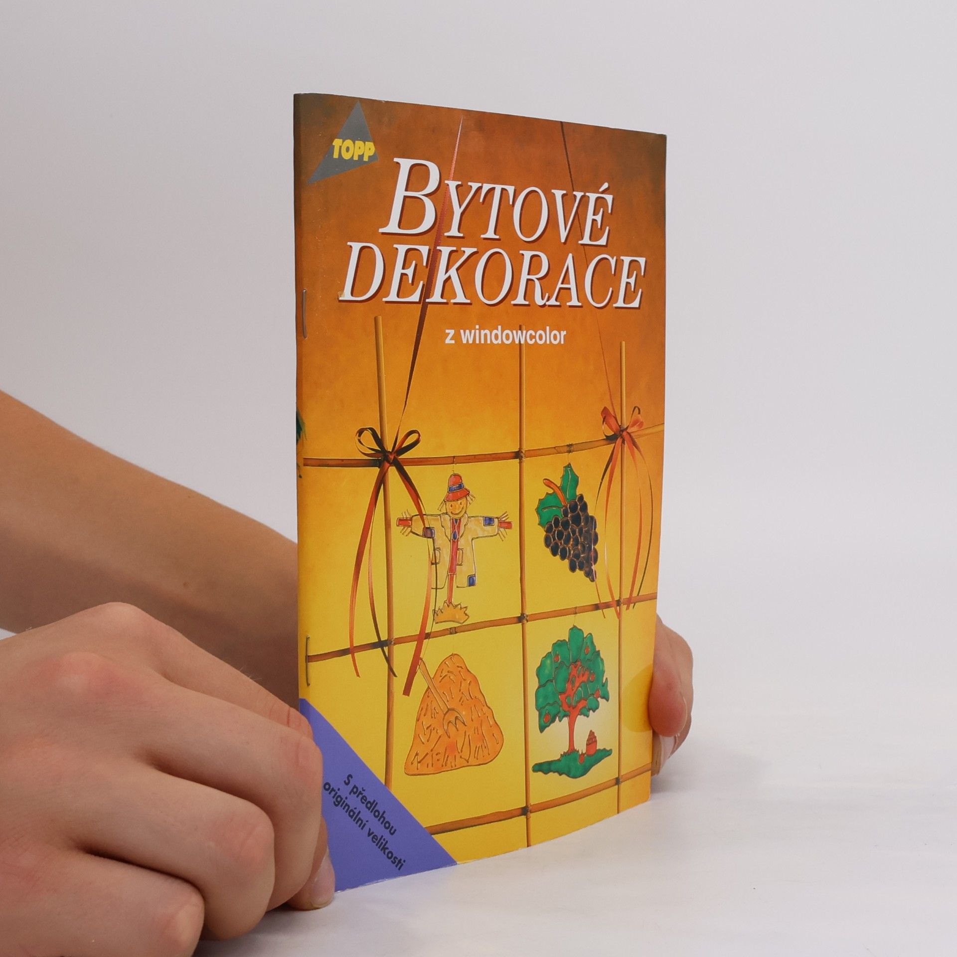 Auteurscollectief Bytové dekorace z windowcolor