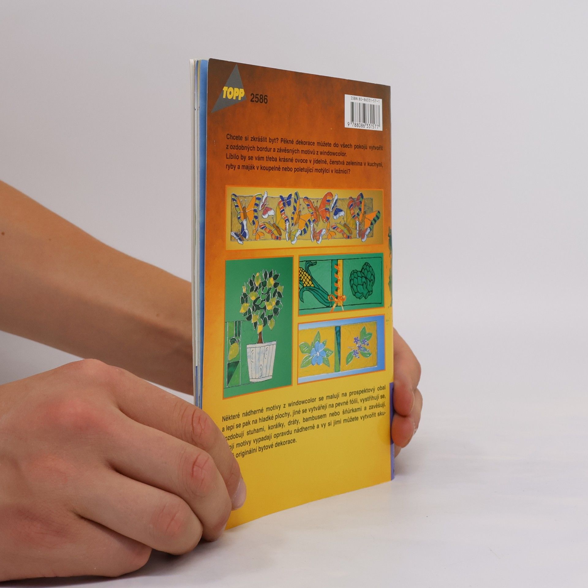 Collectif d'auteurs Bytové dekorace z windowcolor