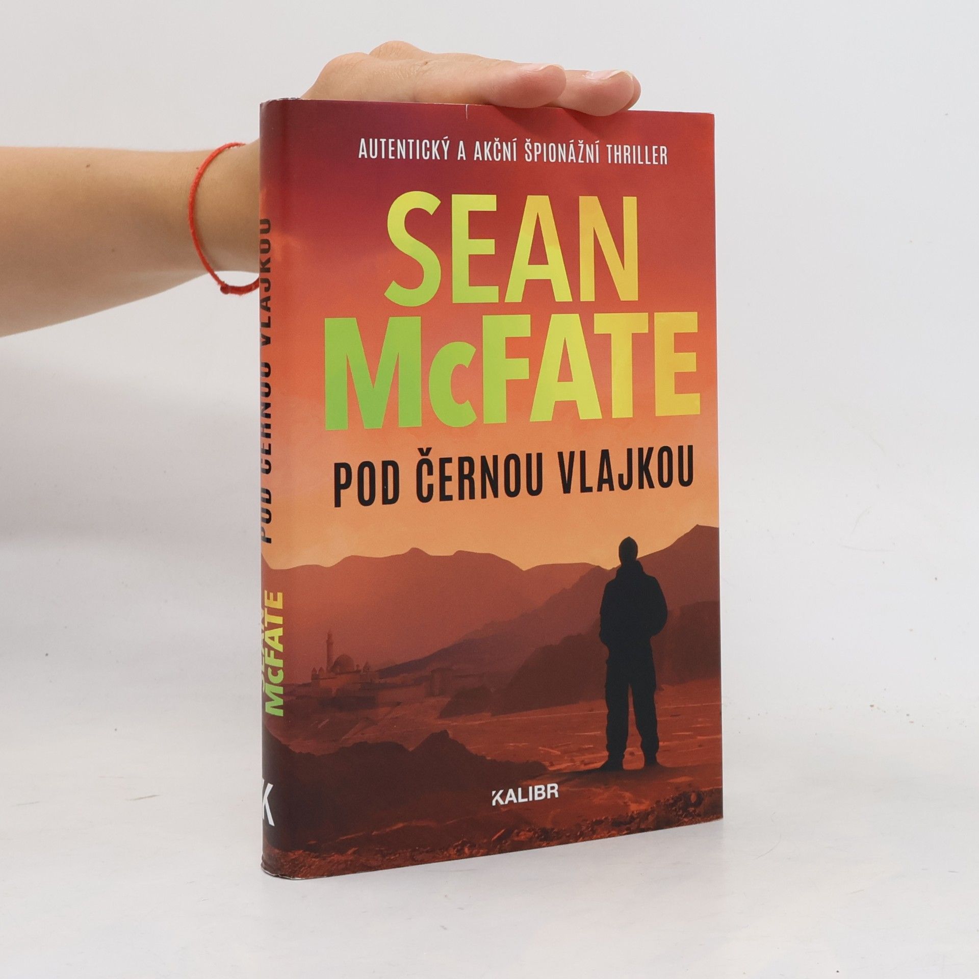 Sean McFate Pod černou vlajkou