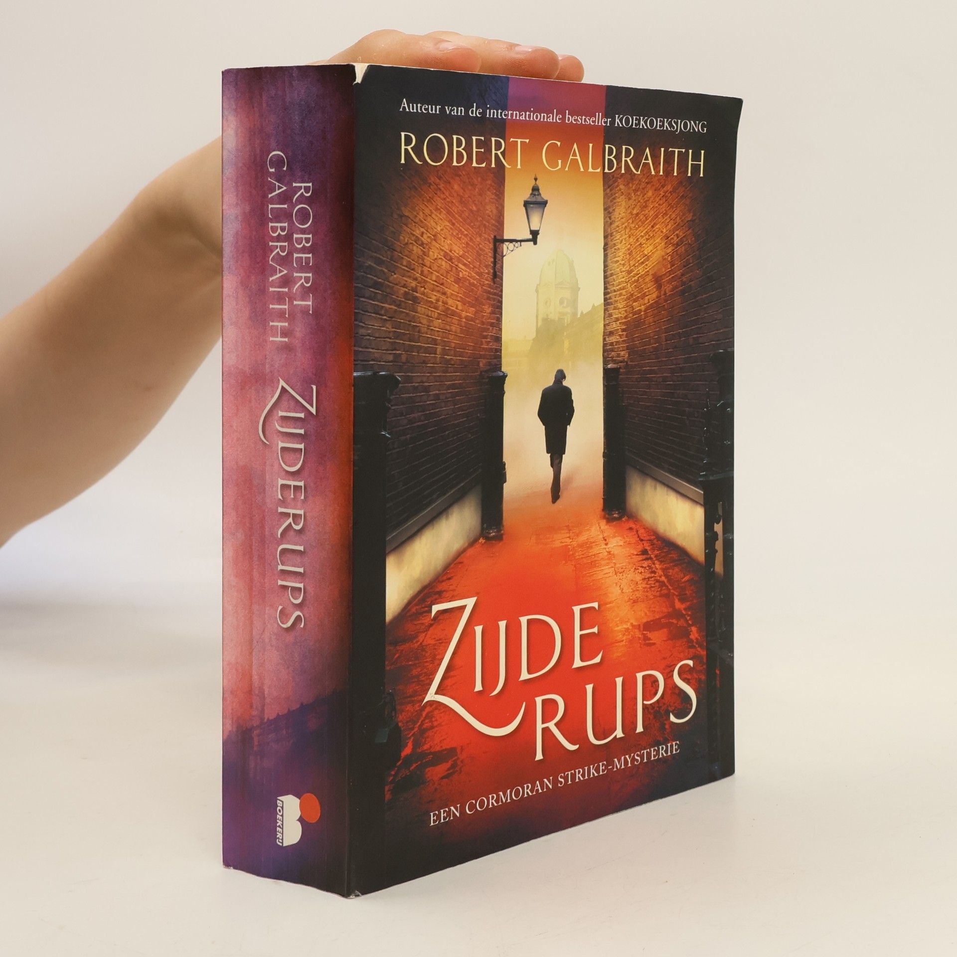 J. K. Rowling Cormoran Strike - 2: Zijderups