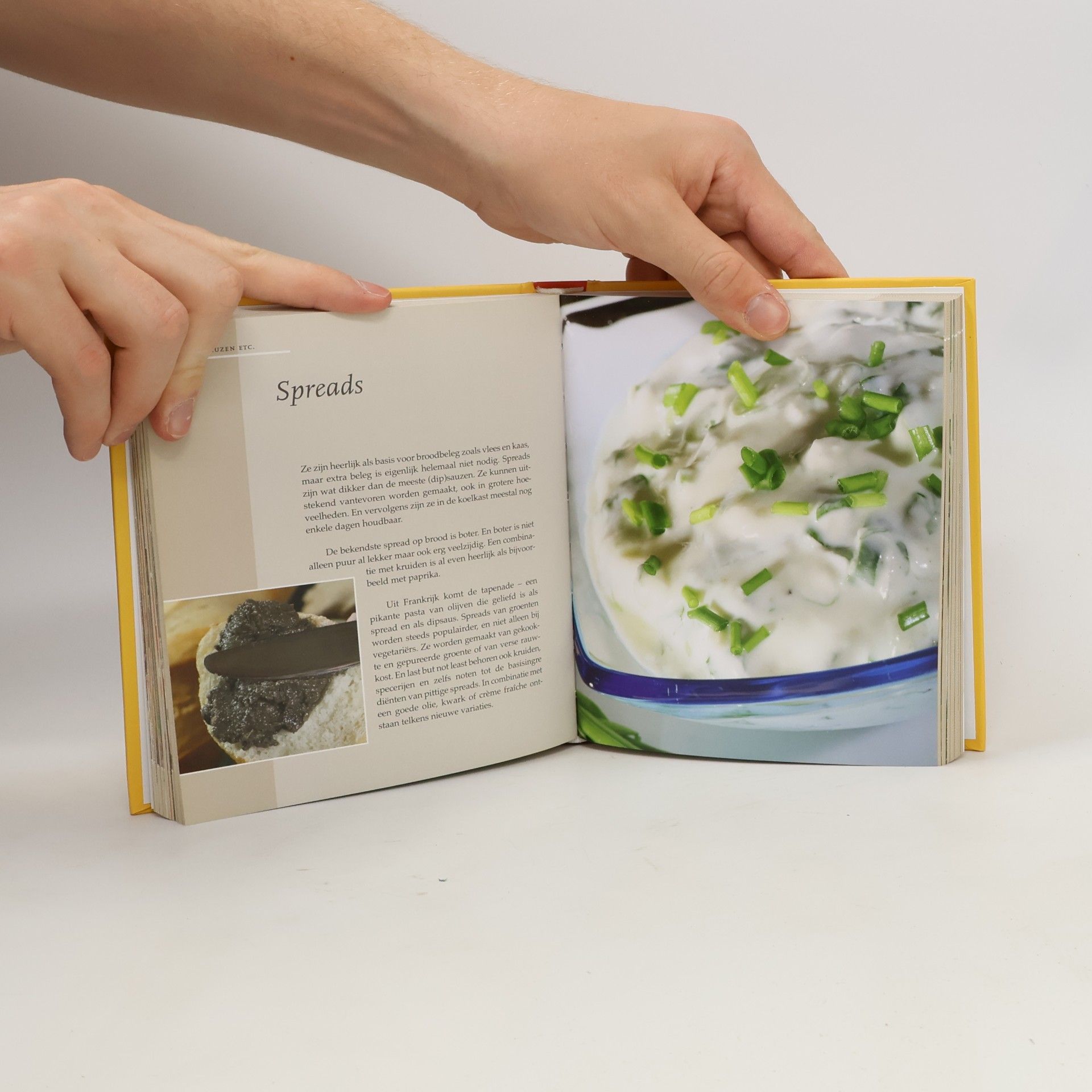 AA.VV. Handboek Tapas