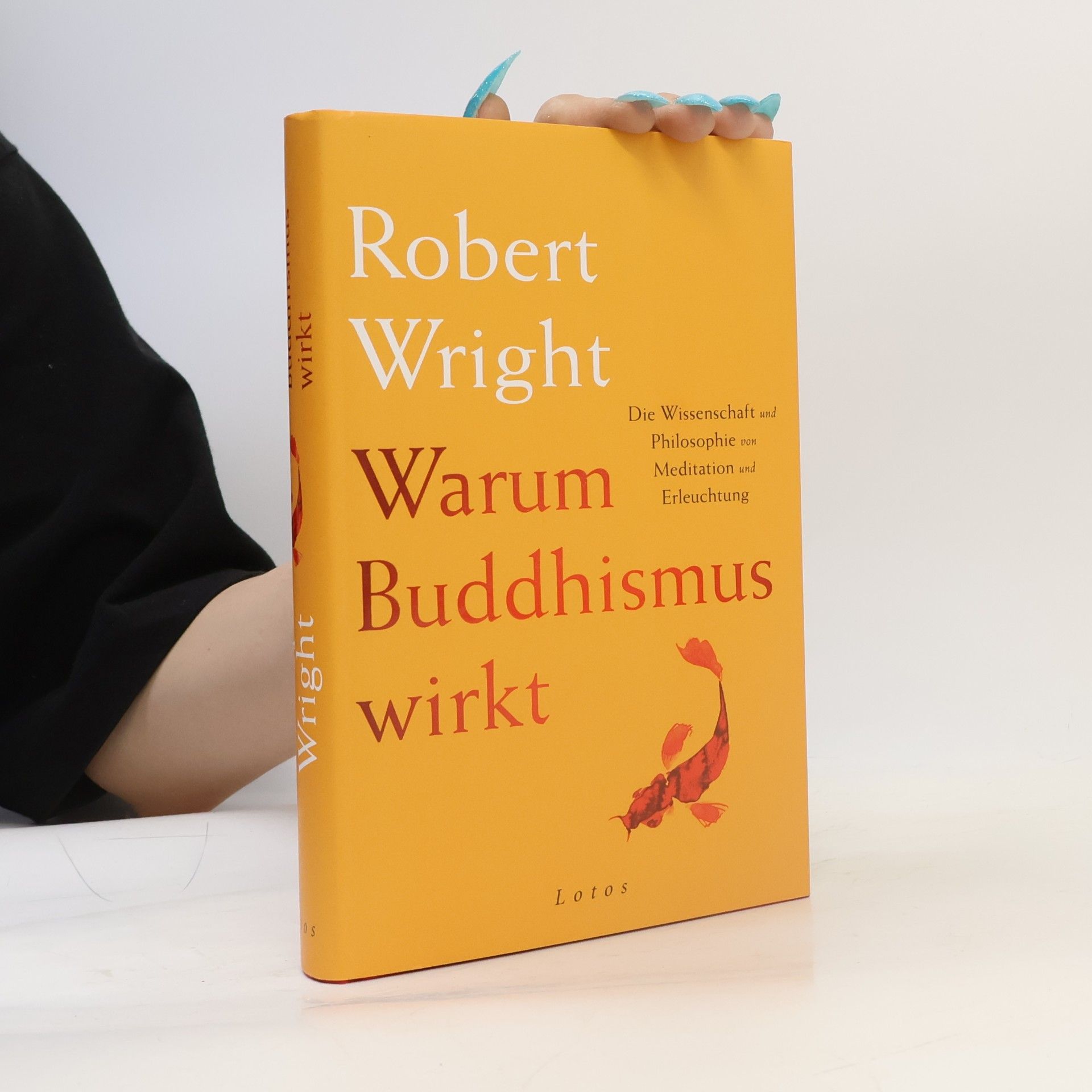 Robert Wright Warum Buddhismus wirkt