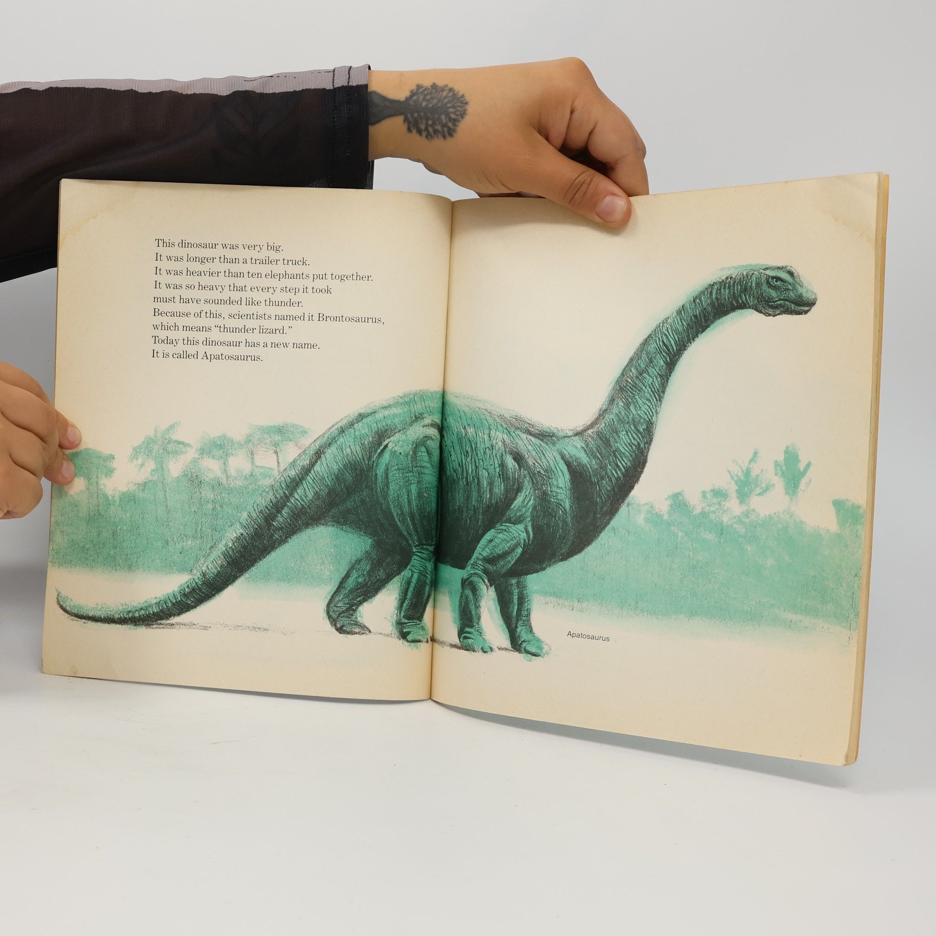 Joanna Cole Dinosaur Story