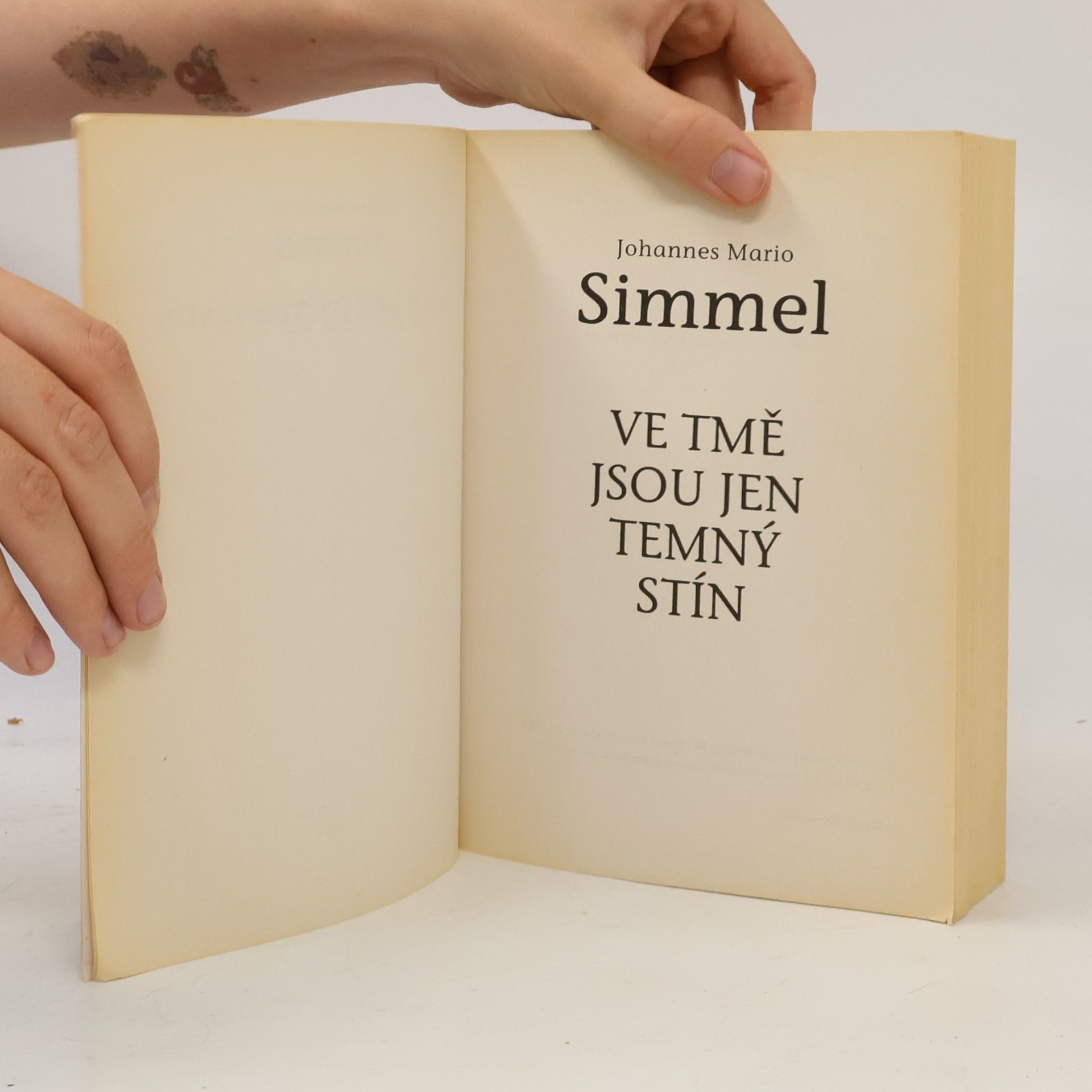 Johannes Mario Simmel Ve tmě jsou jen temný stín