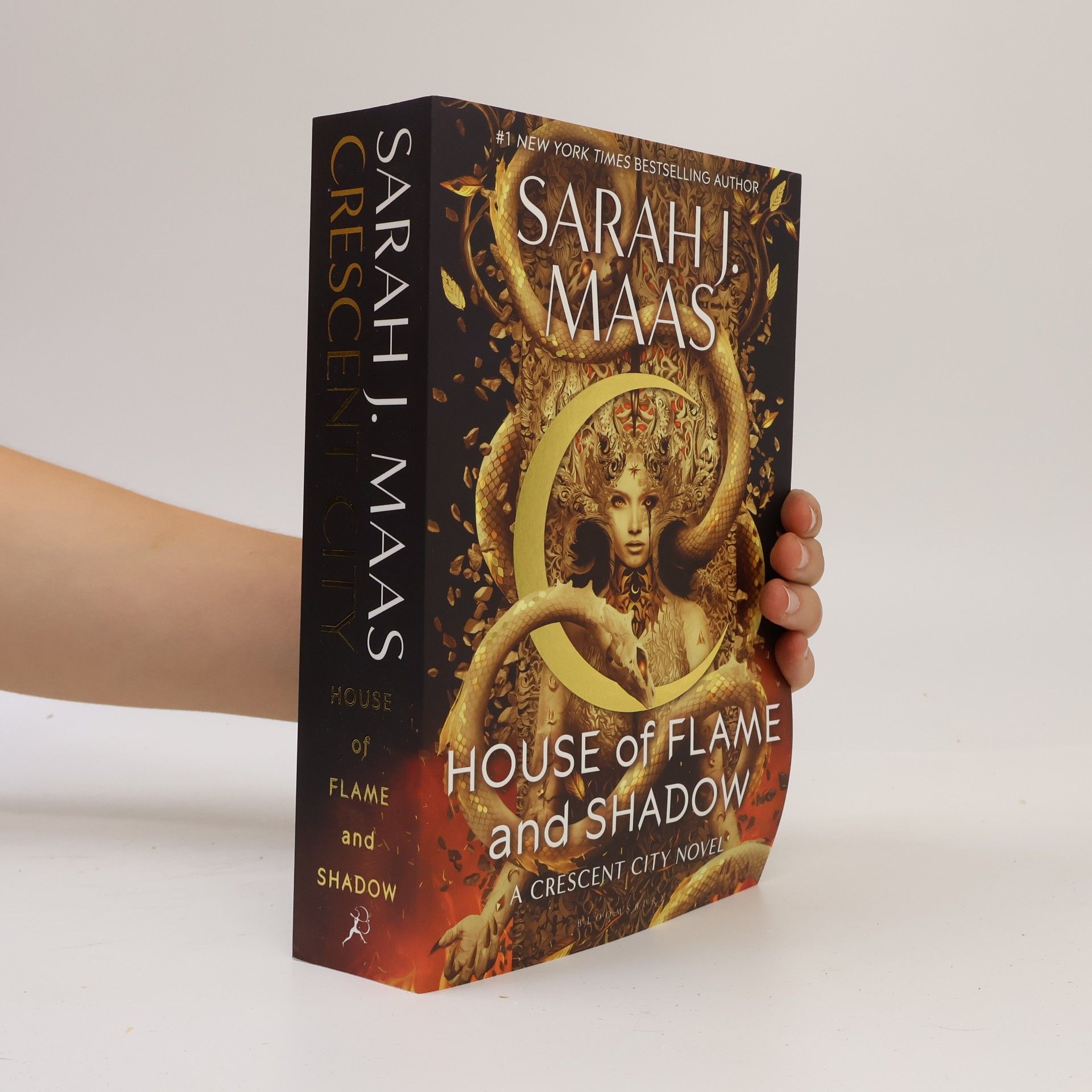 Sarah J. Maas House of Flame and Shadow