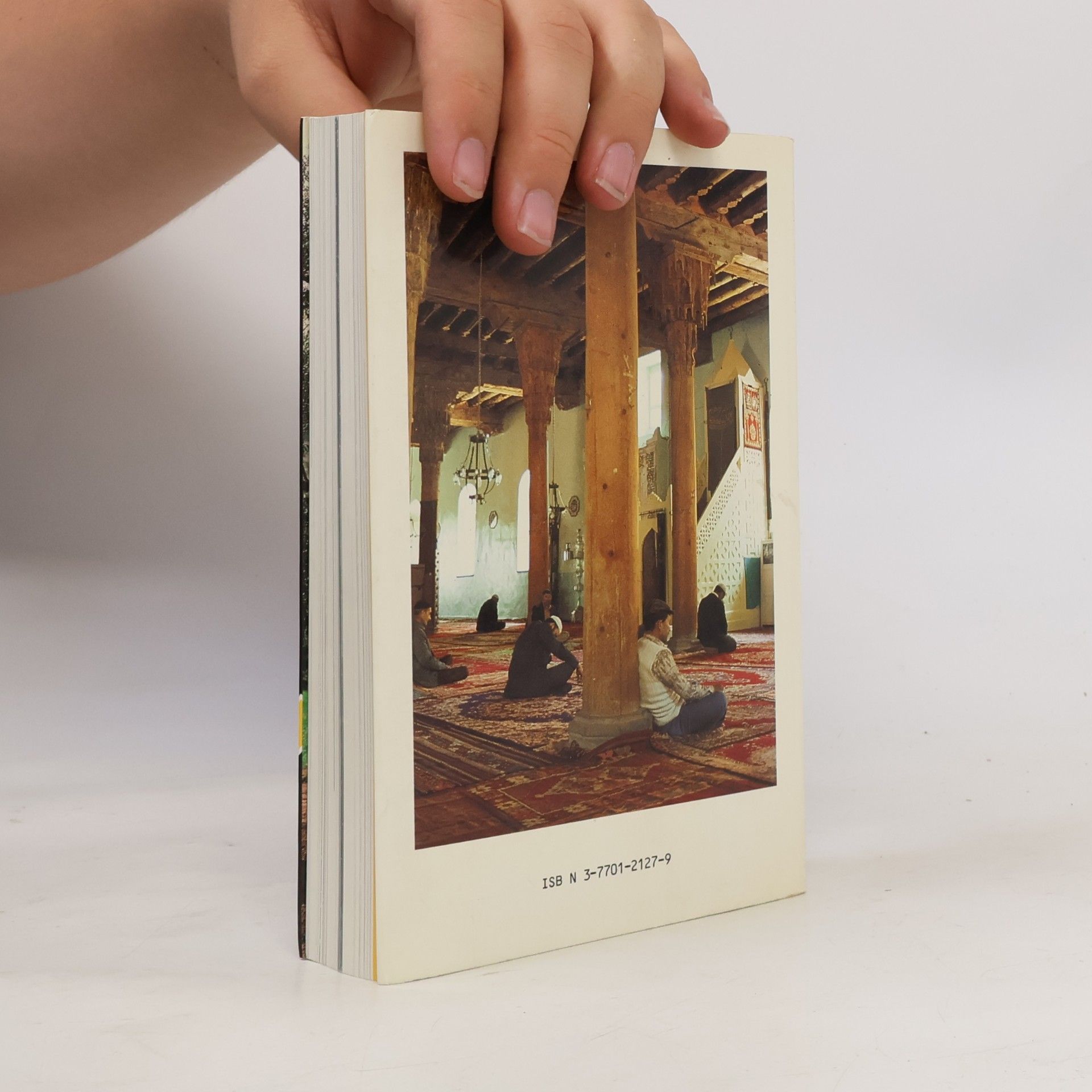 Dux Schneider Türkei : Reise-Handbuch