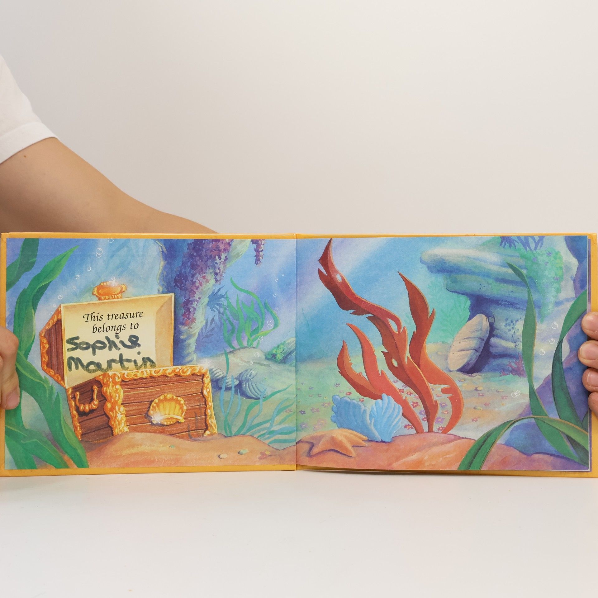 M. C. Varley The Little Mermaid's Treasure Chest: A Charmed Life