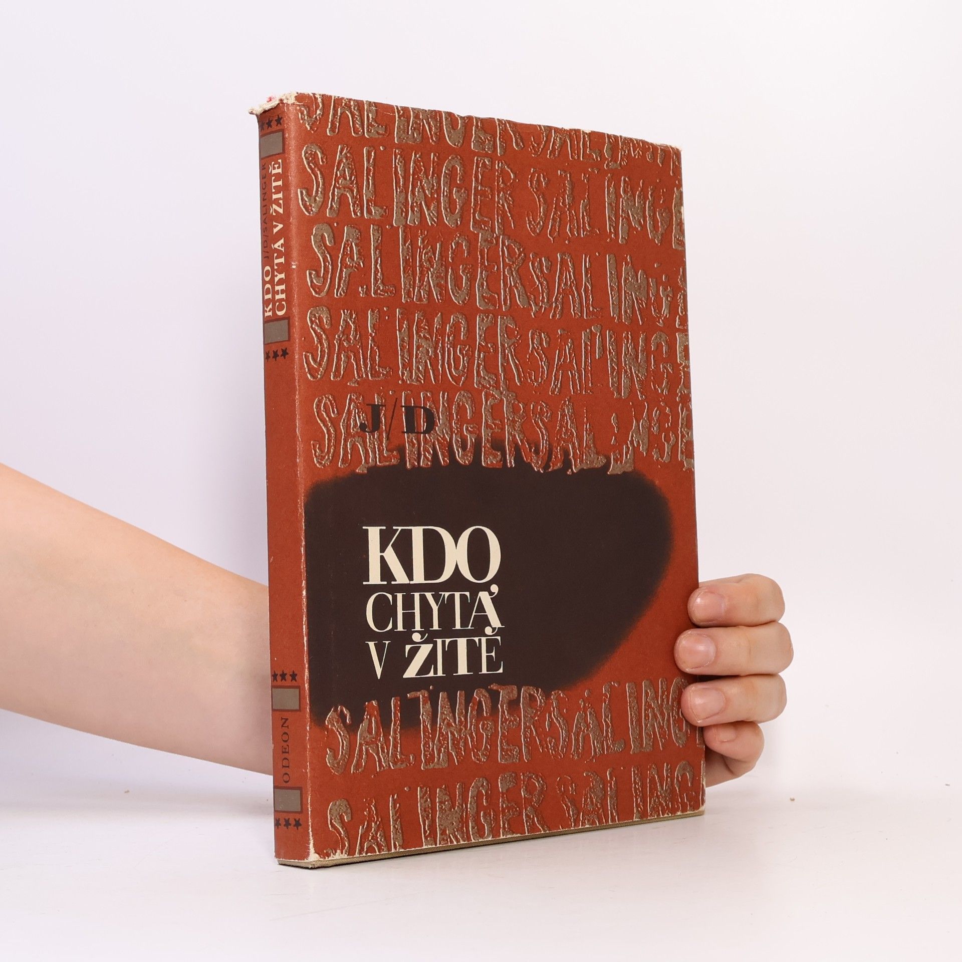 J. D. Salinger Kdo chytá v žitě