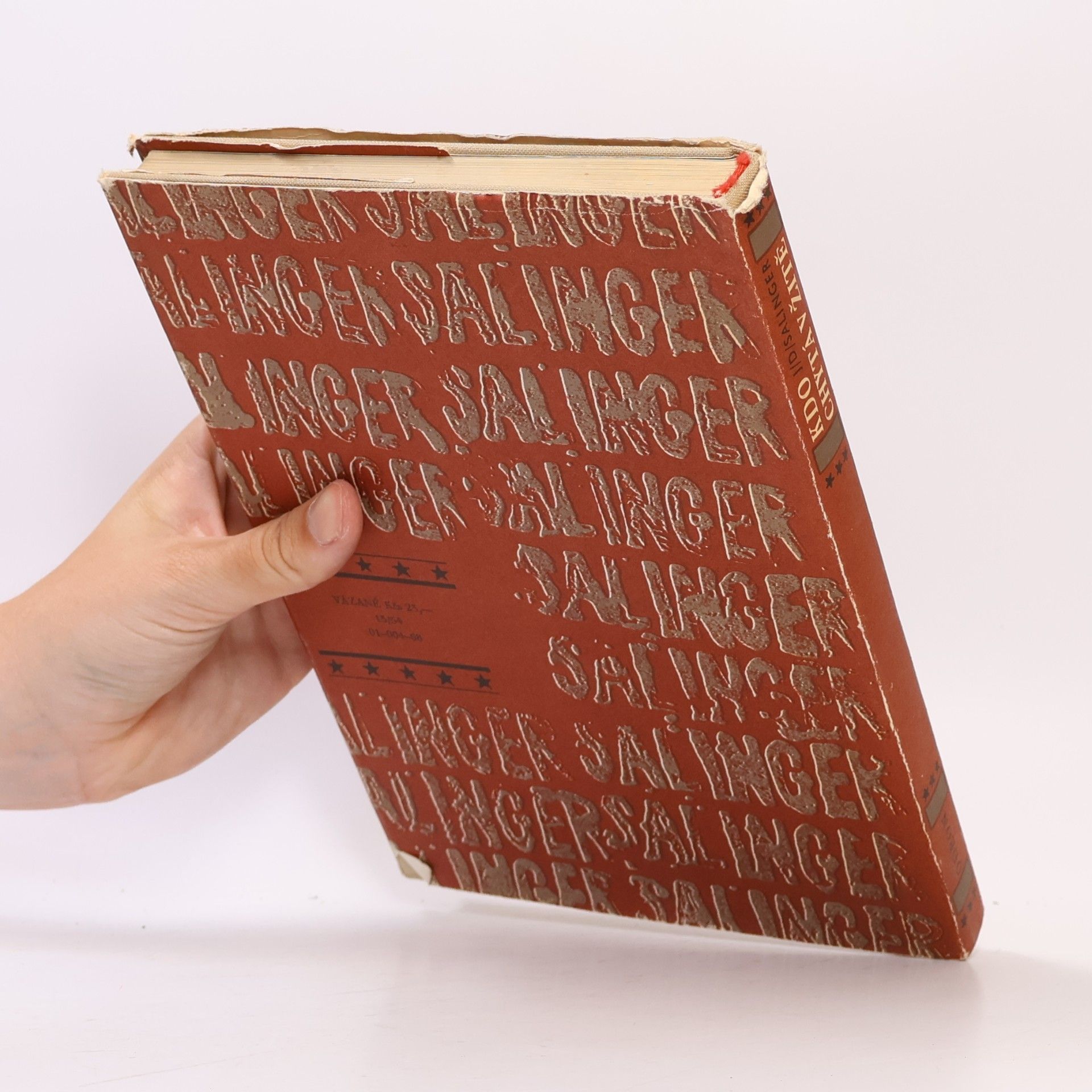 J. D. Salinger Kdo chytá v žitě