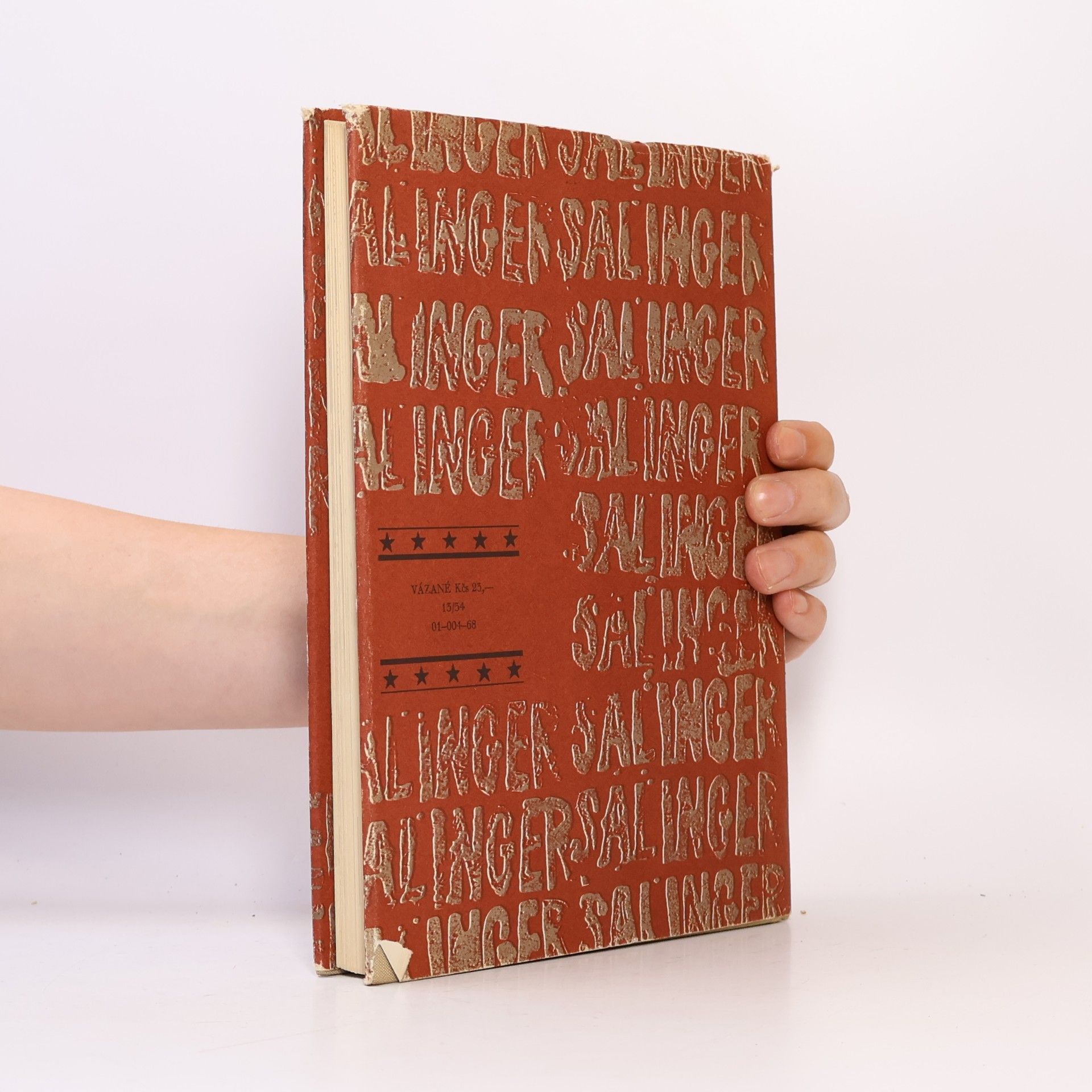 J. D. Salinger Kdo chytá v žitě