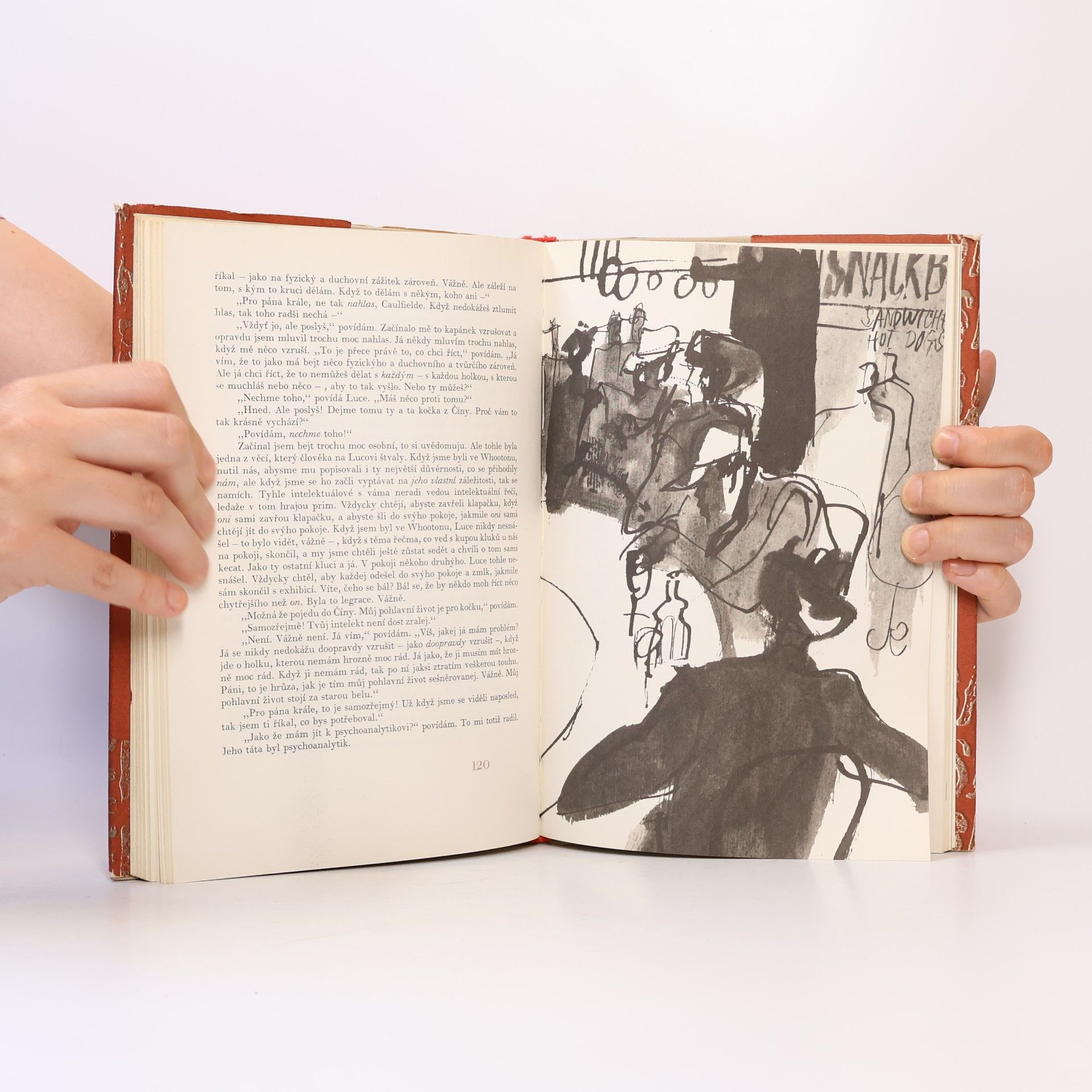 J. D. Salinger Kdo chytá v žitě