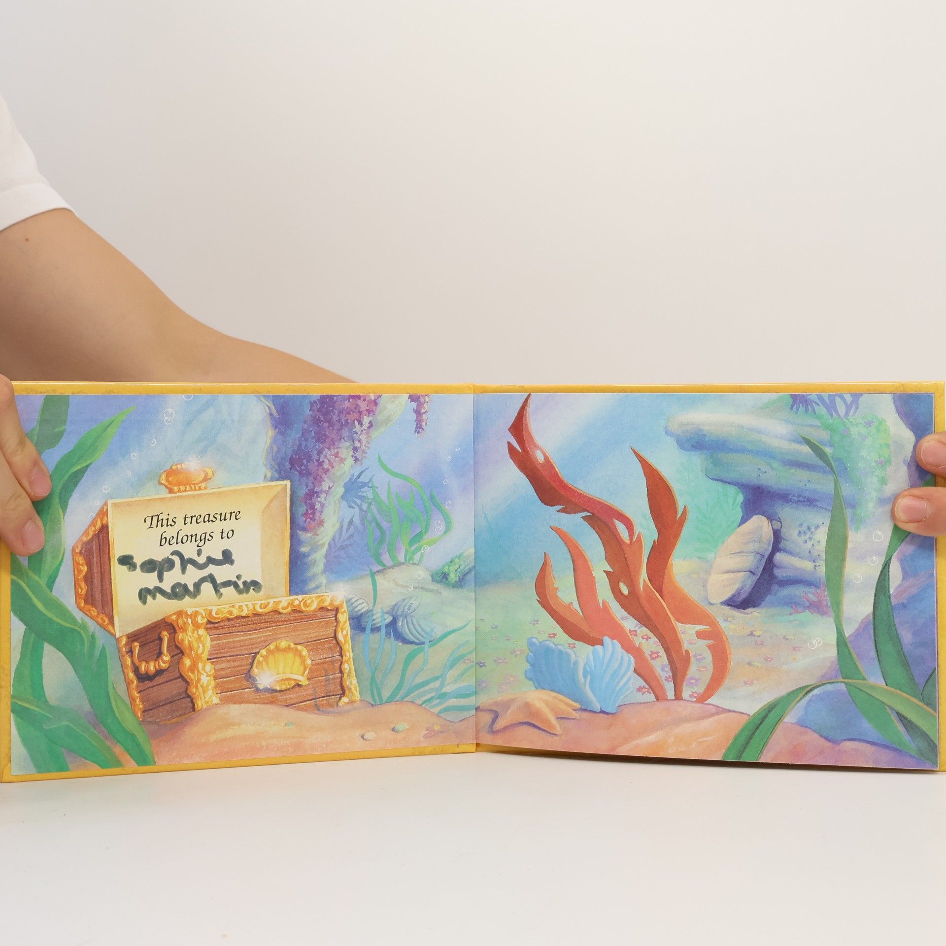 M. C. Varley The Little Mermaid's Treasure Chest: Another Fine Mess