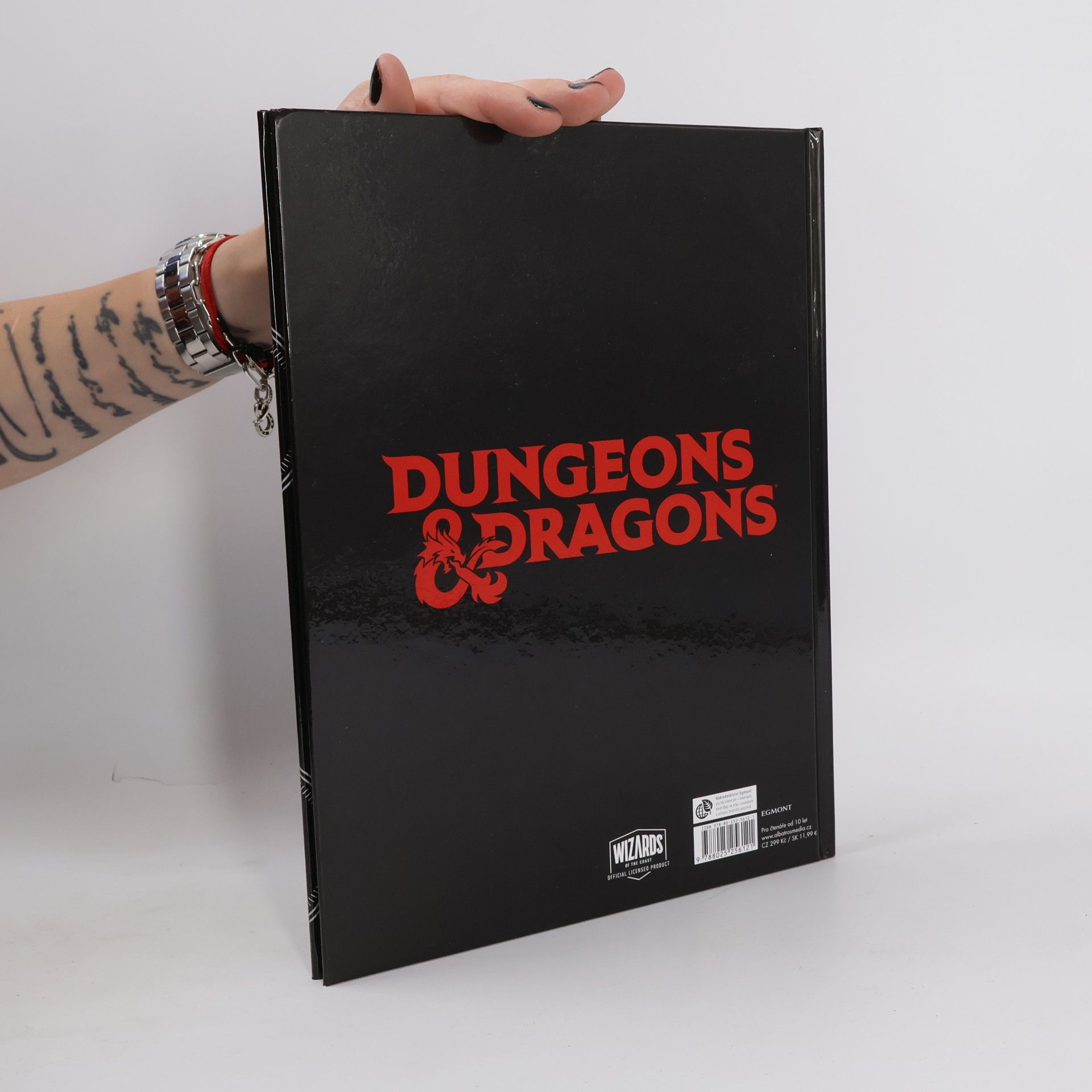 Susie Rae Dungeons & Dragons : hráčská ročenka