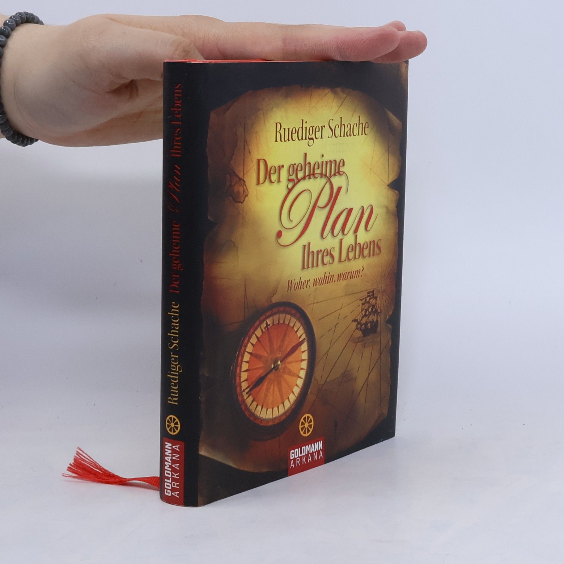 Ruediger Schache Der geheime Plan Ihres Lebens