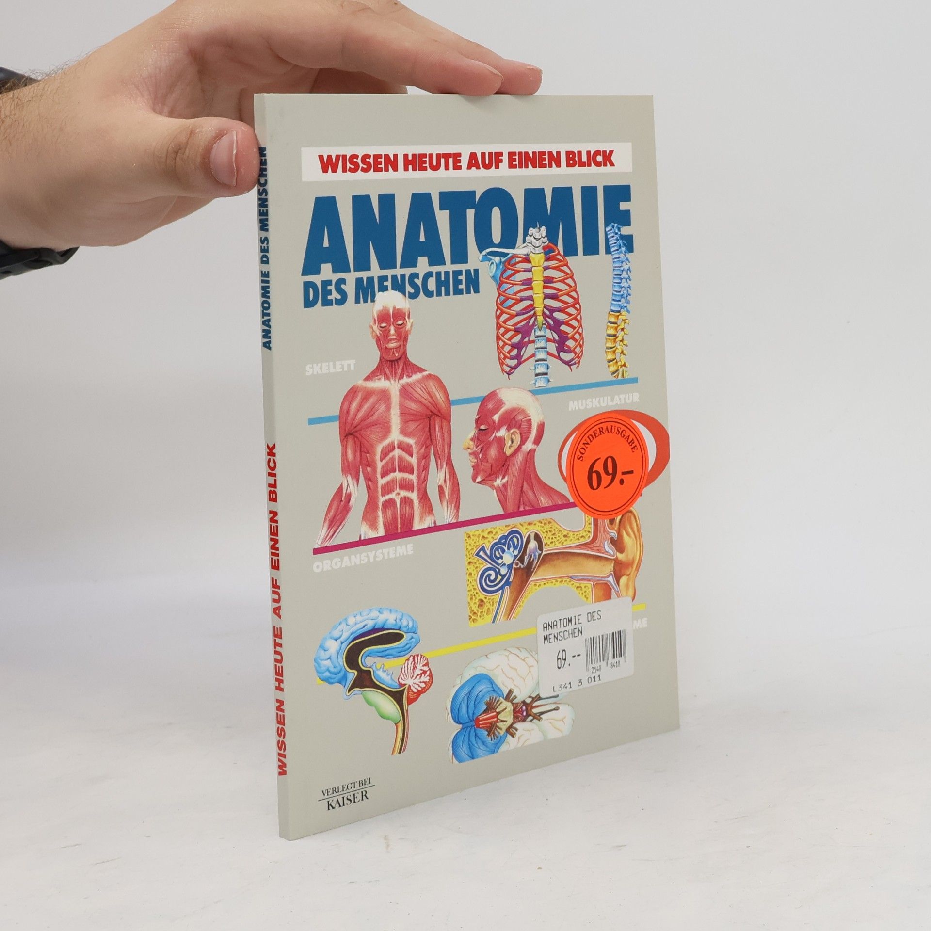 Autorenkollektiv Anatomie des menschen