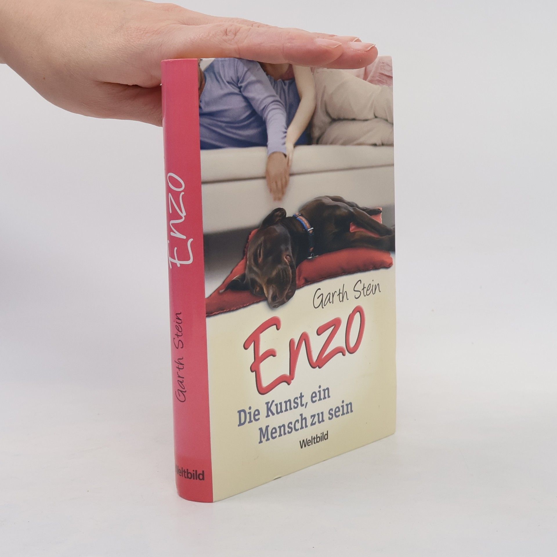 Garth Stein Enzo