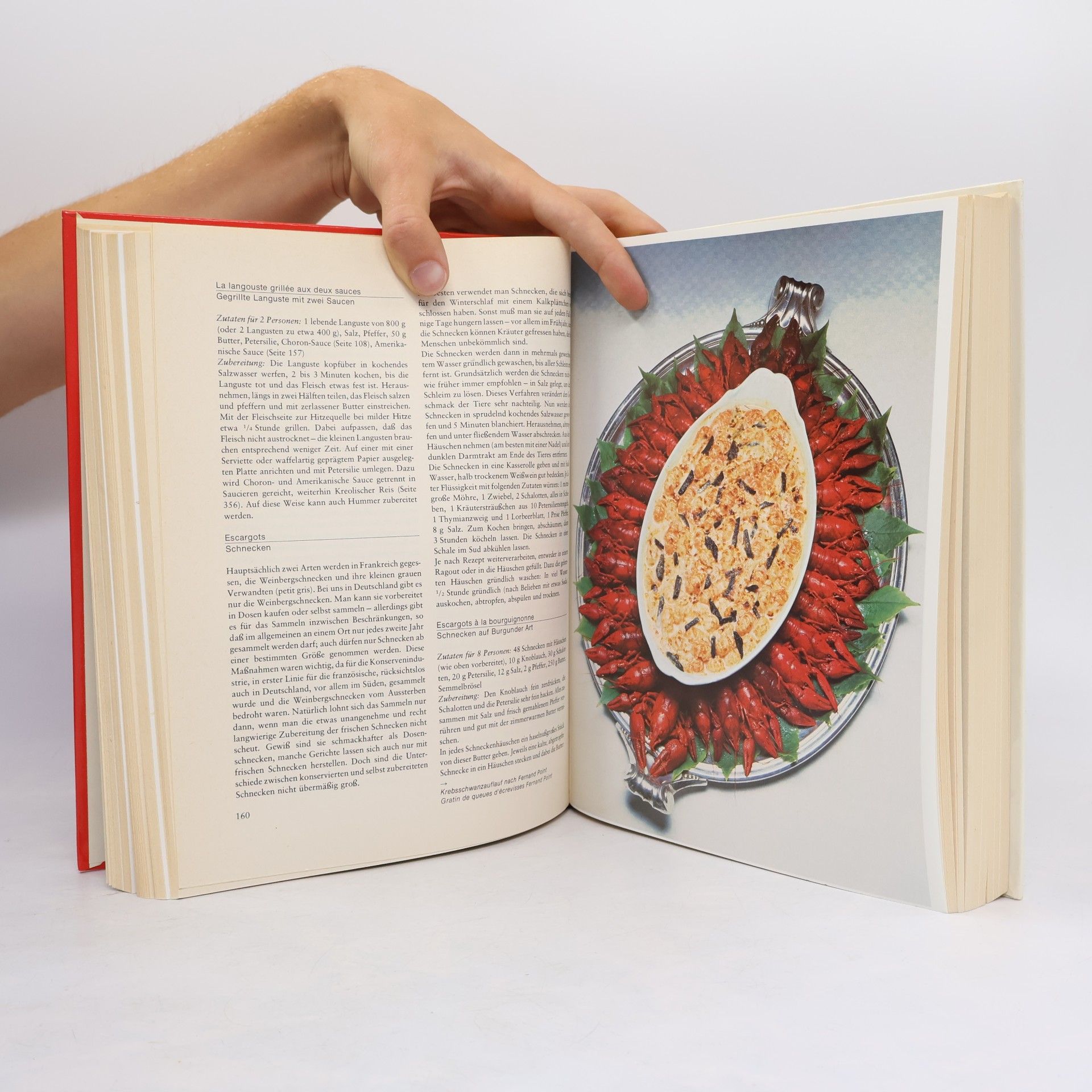 Various authors Bocuse. Die Neue Küche