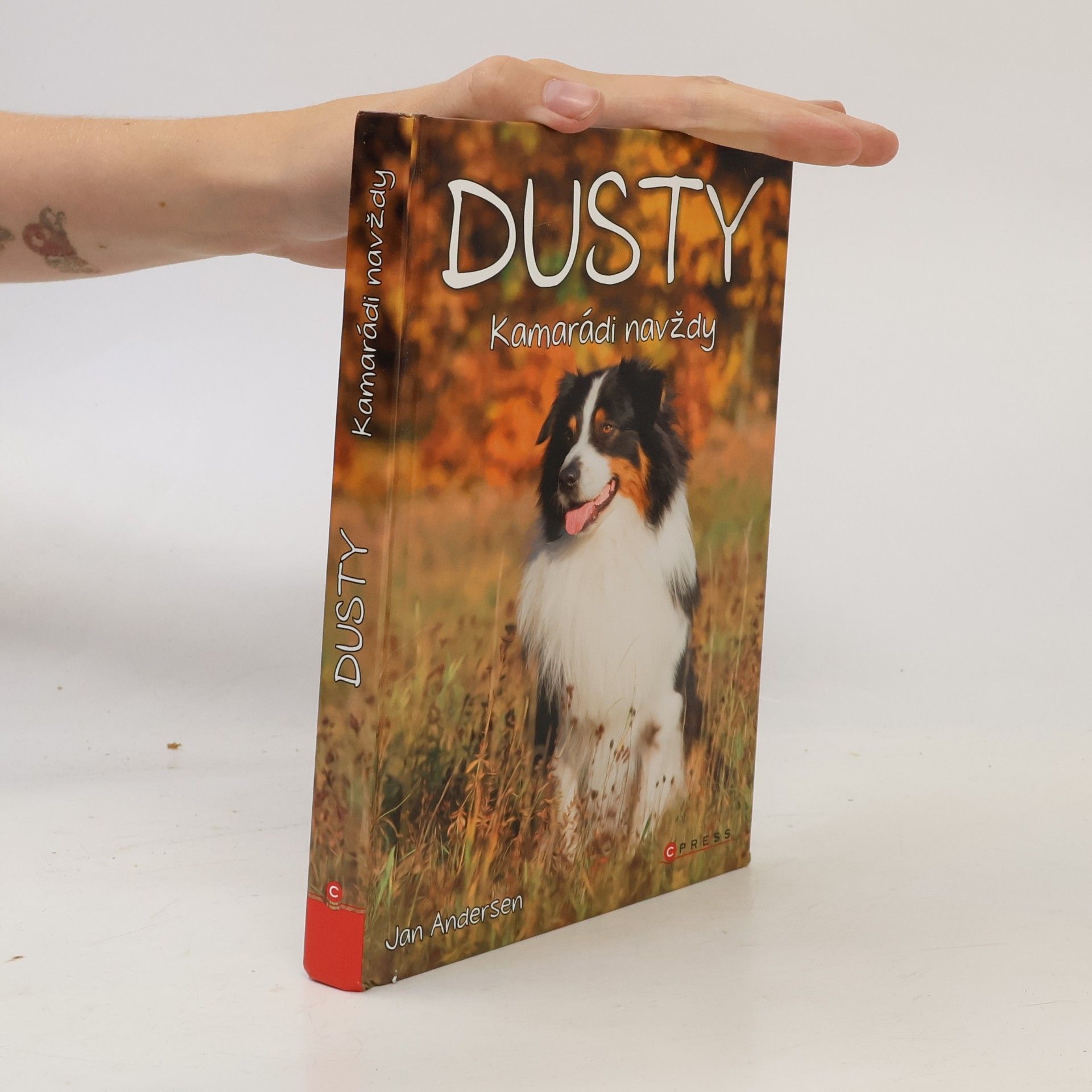 Wolfram Hänel Dusty: Kamarádi navždy