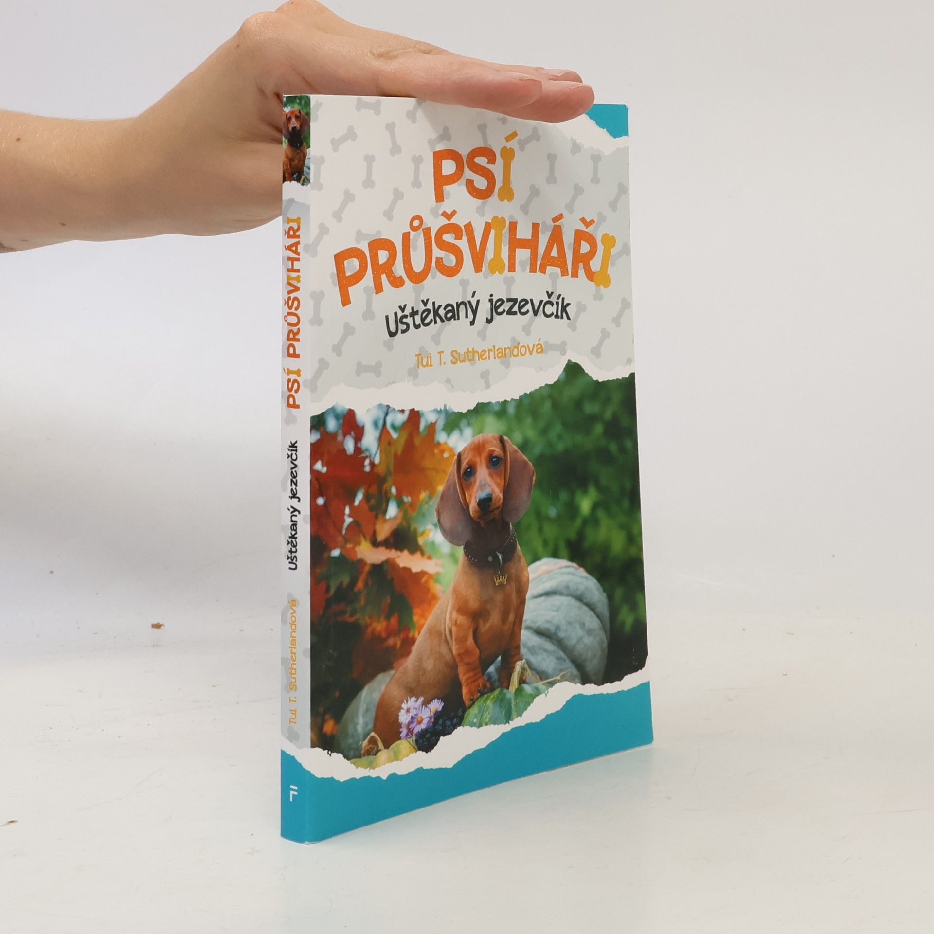 Psí průšviháři – Uštěkaný jezevčík