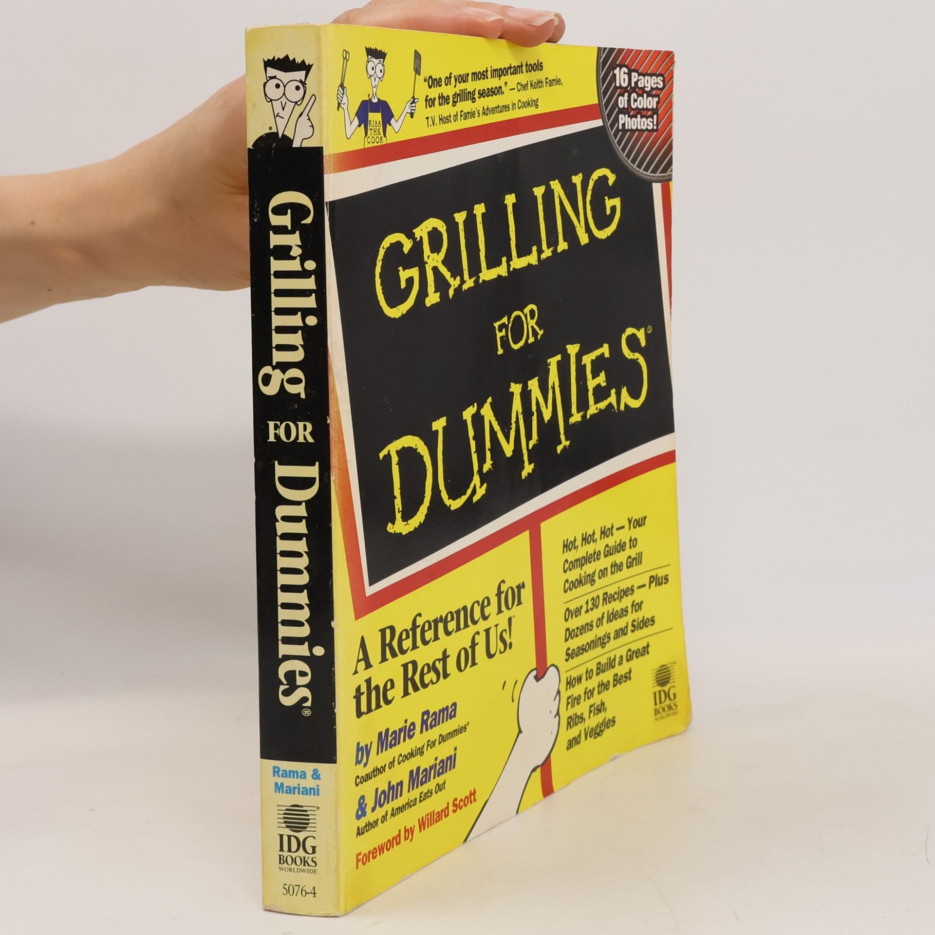 Grilling For Dummies
